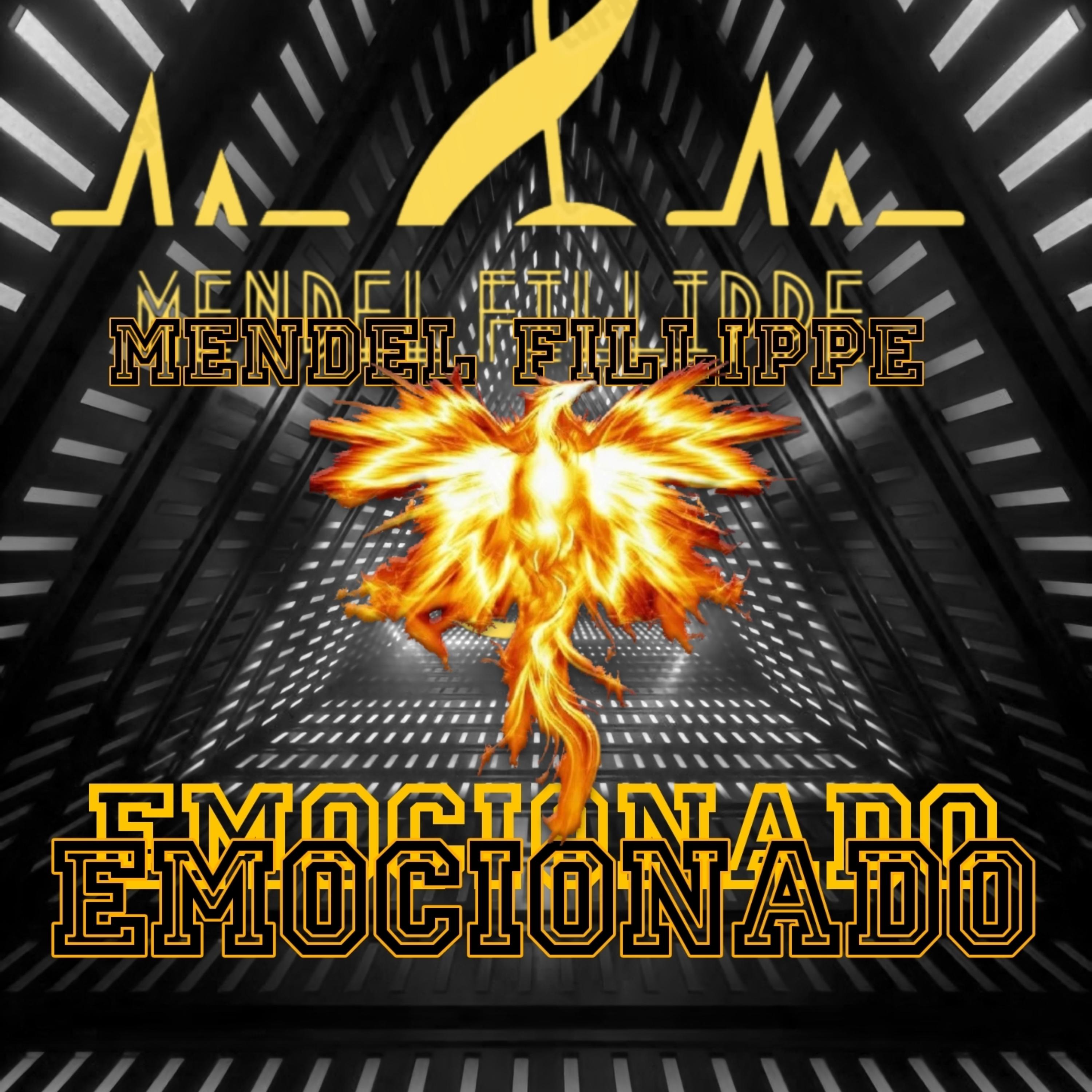 EMOCIONADO artwork