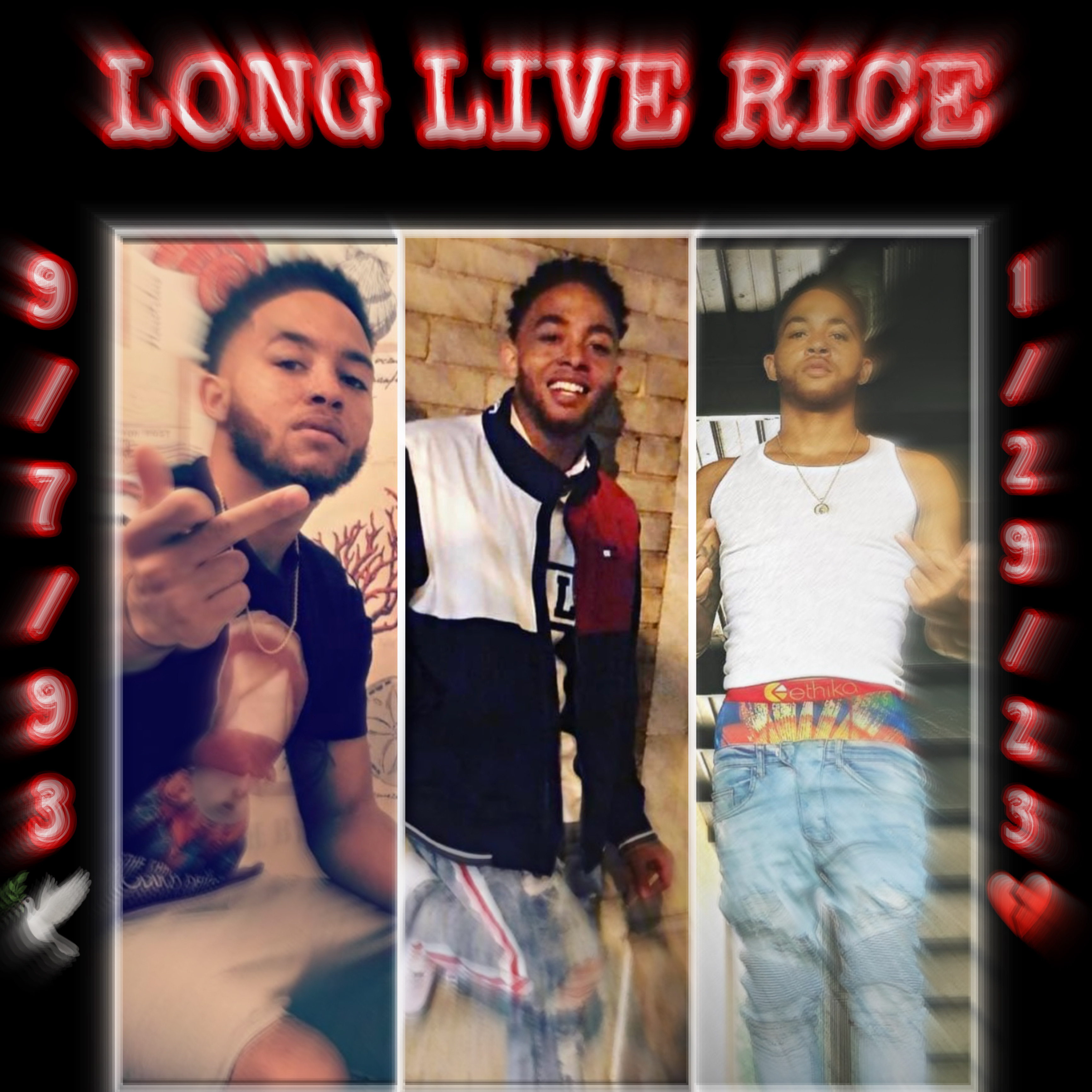 Long Live Rice artwork
