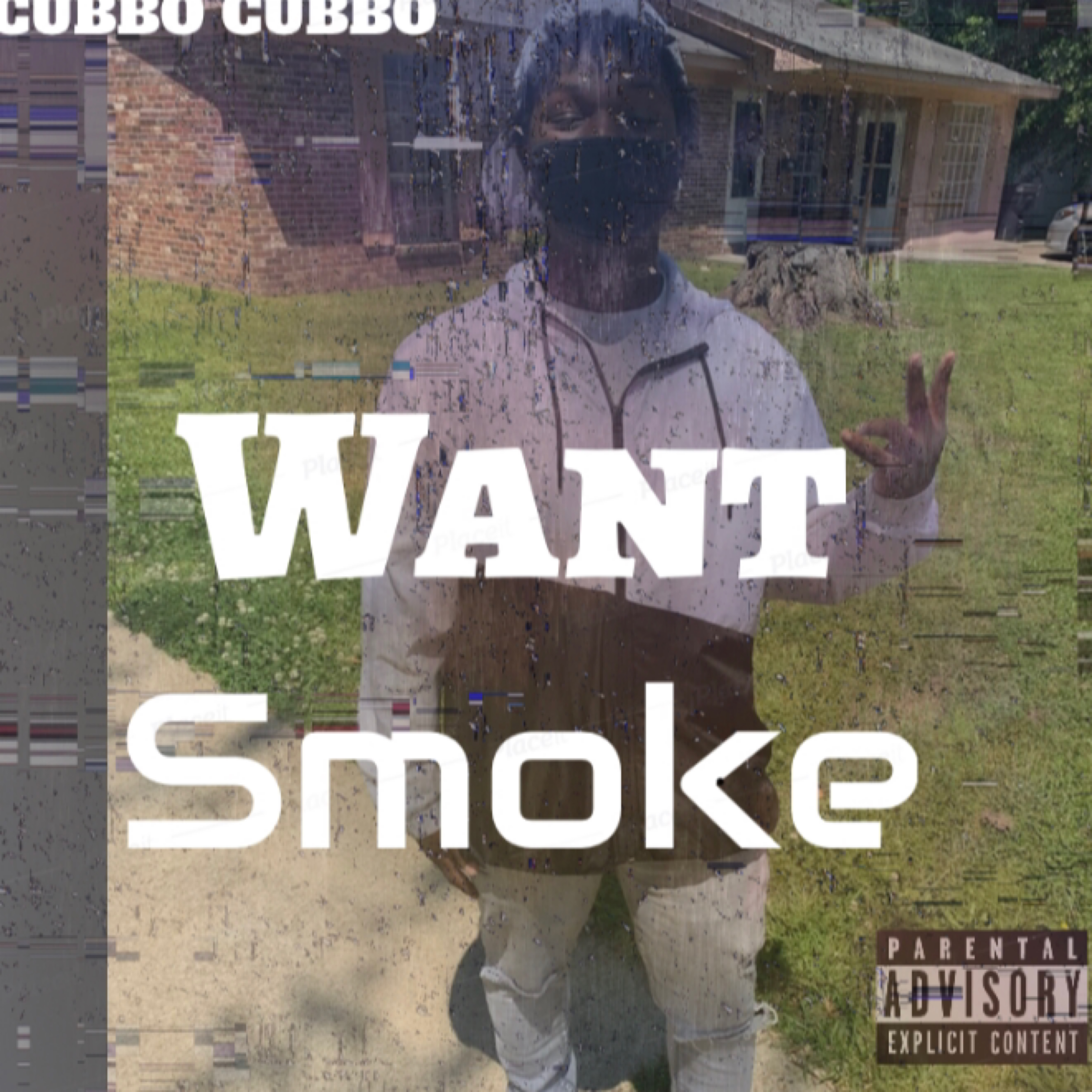 Want Smoke artwork