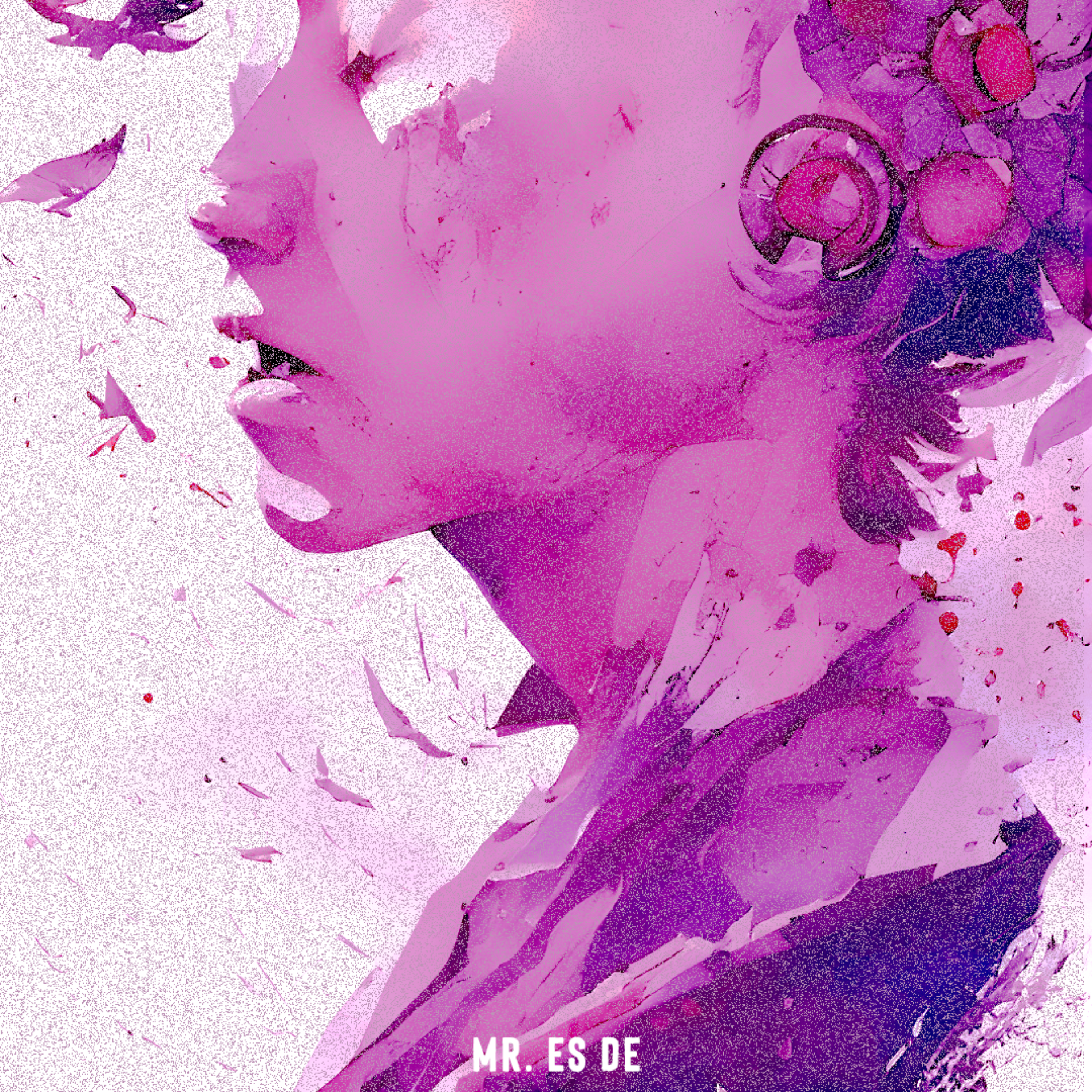 I've Been Broken by Mr. ES DE cover art