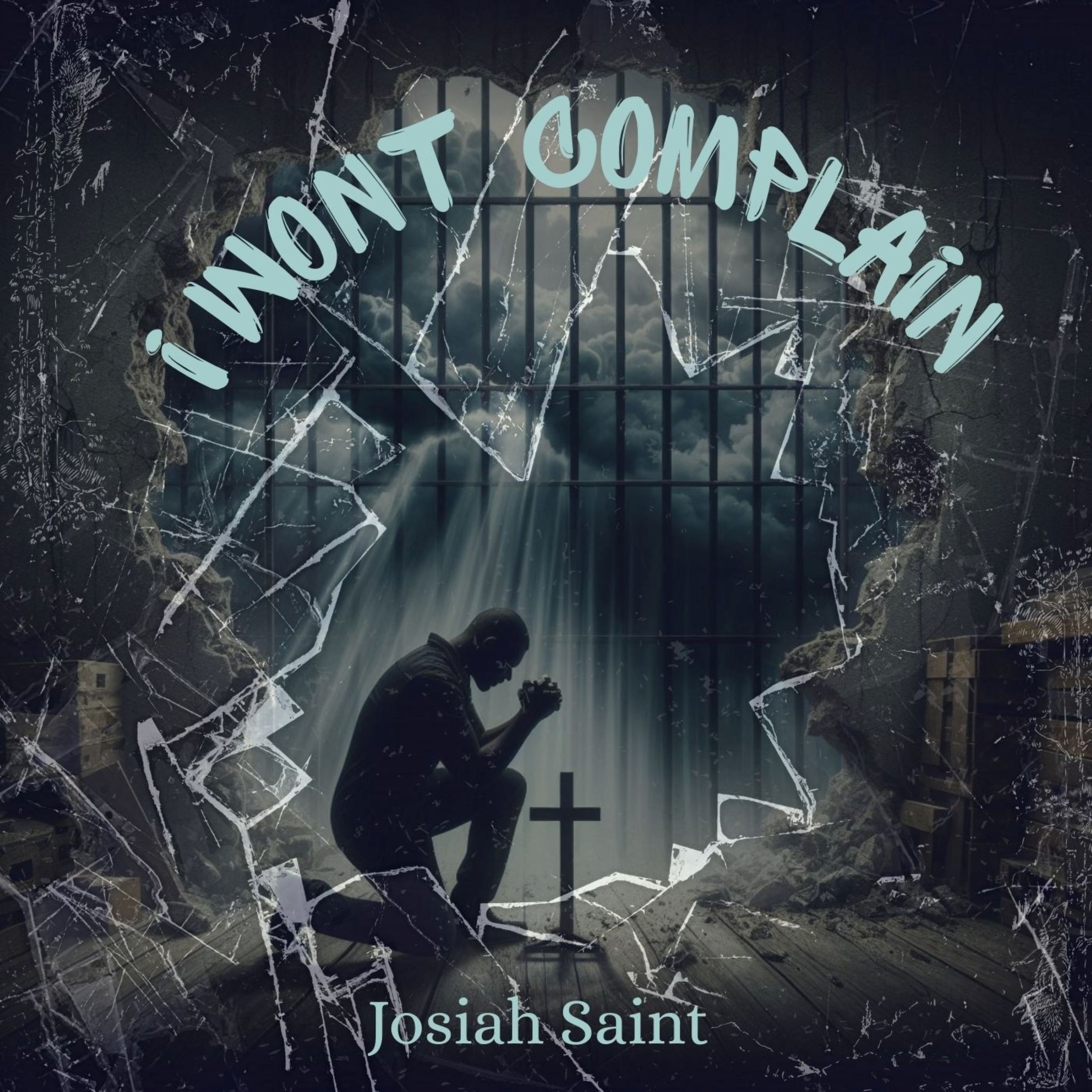 I Won't Complain artwork