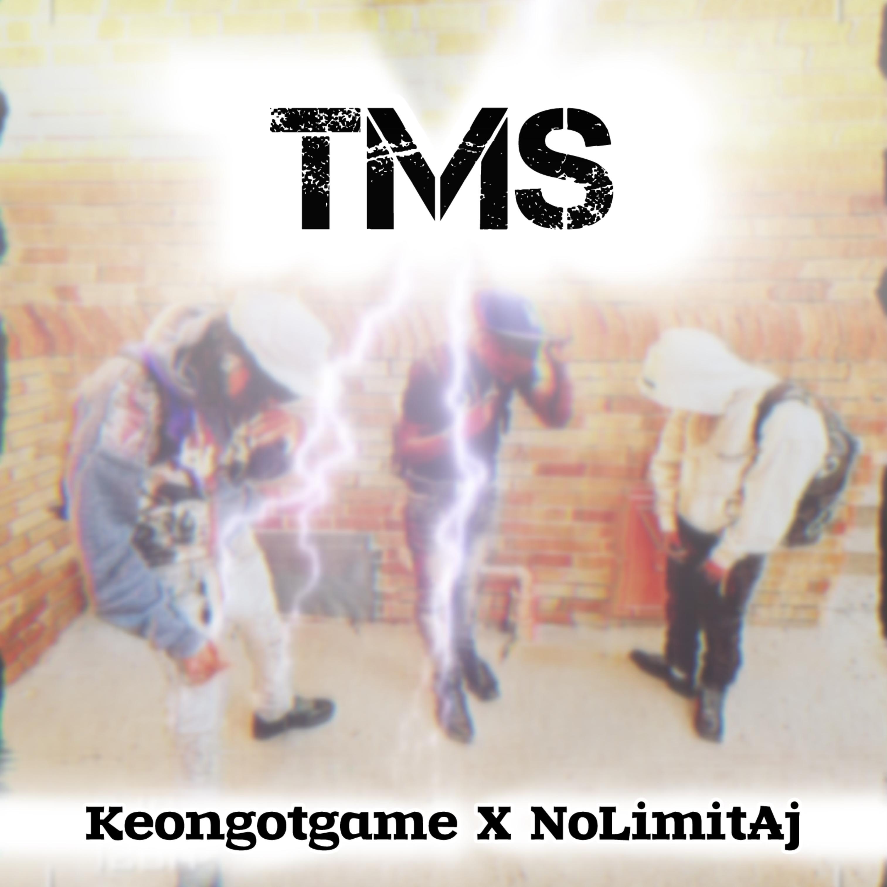 TMS artwork