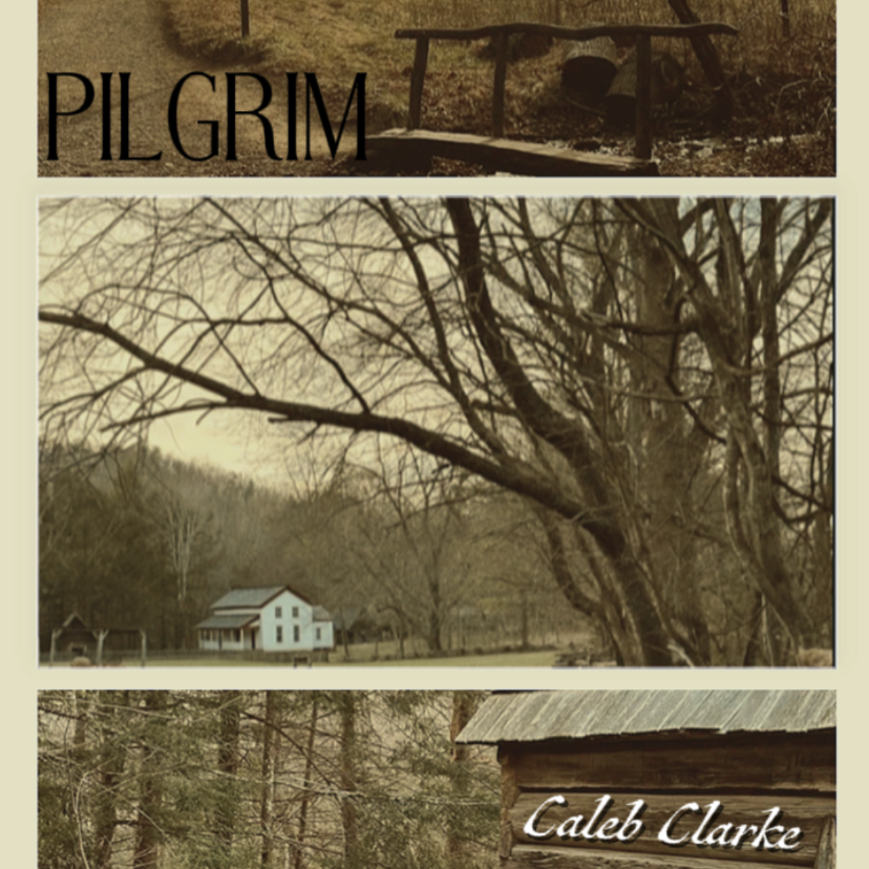 Pilgrim artwork
