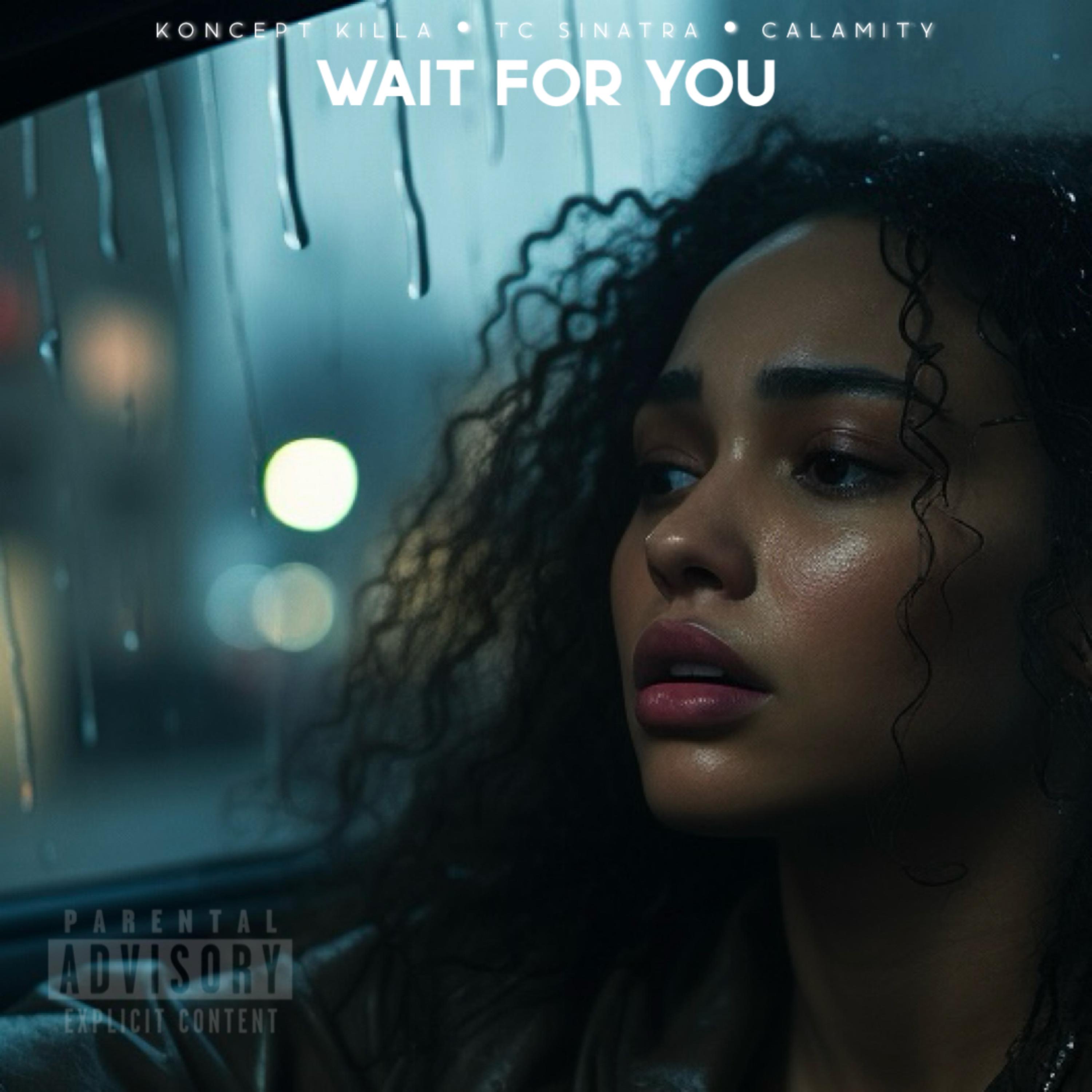 Wait For You by TC Sinatra cover art