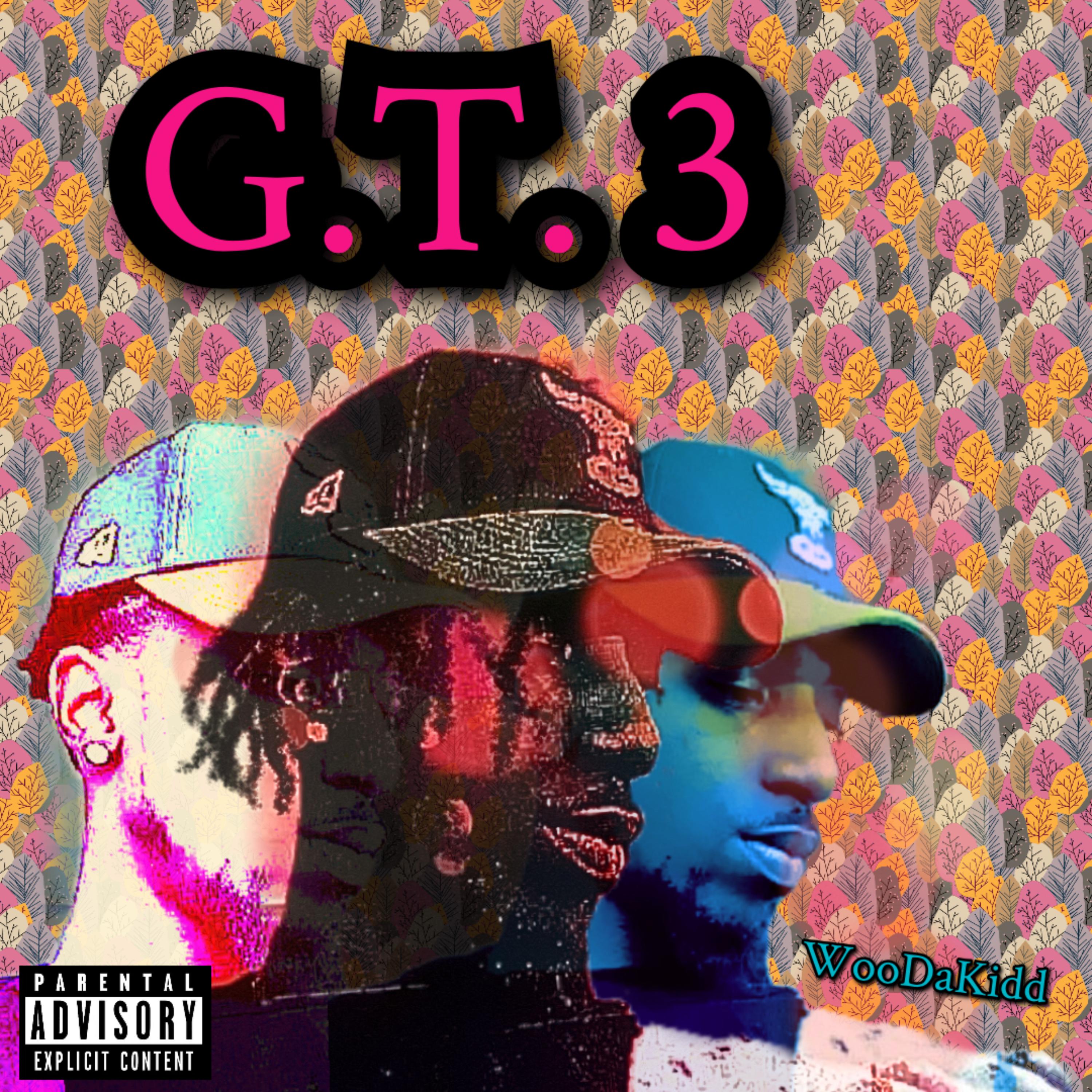 GT3 artwork
