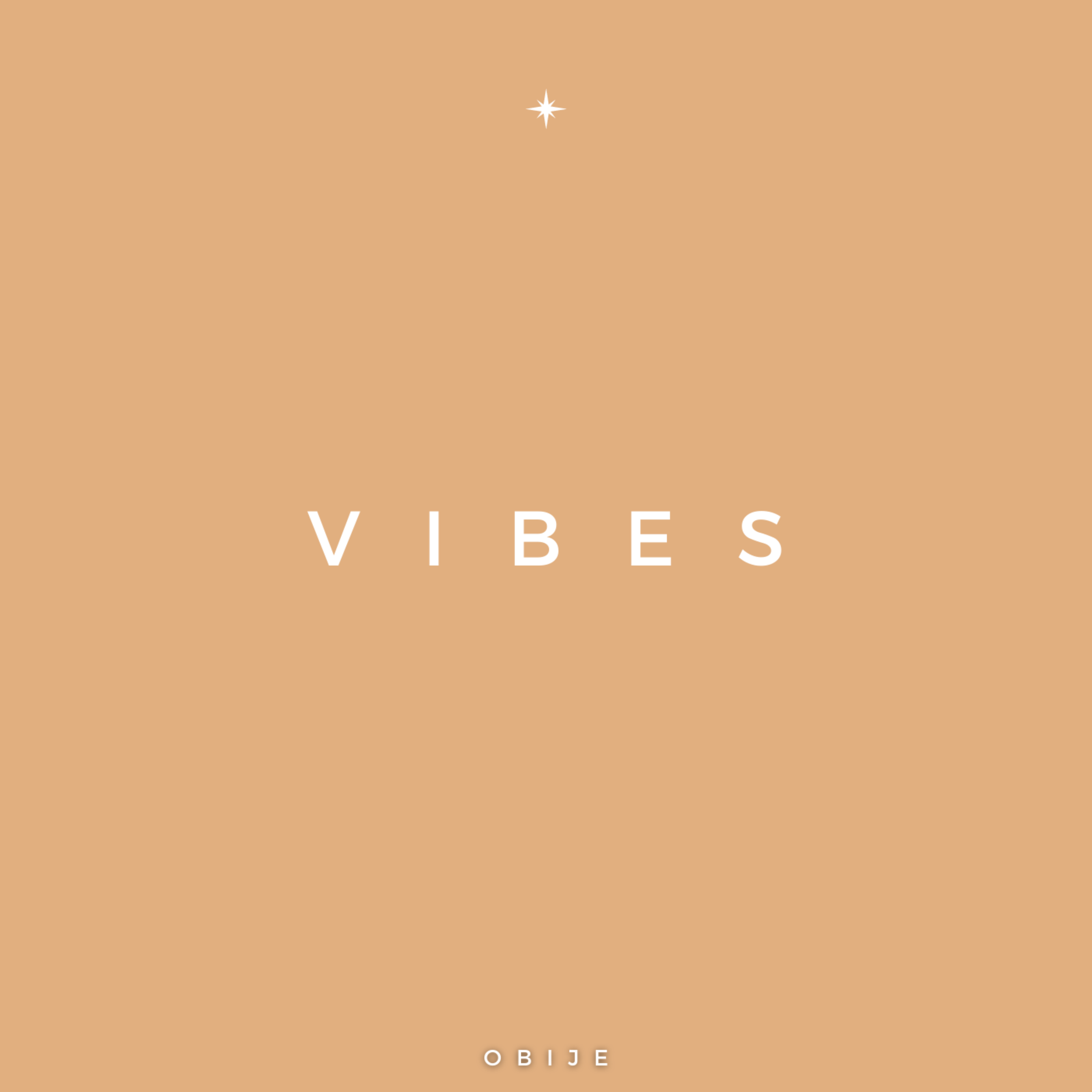 Vibes artwork