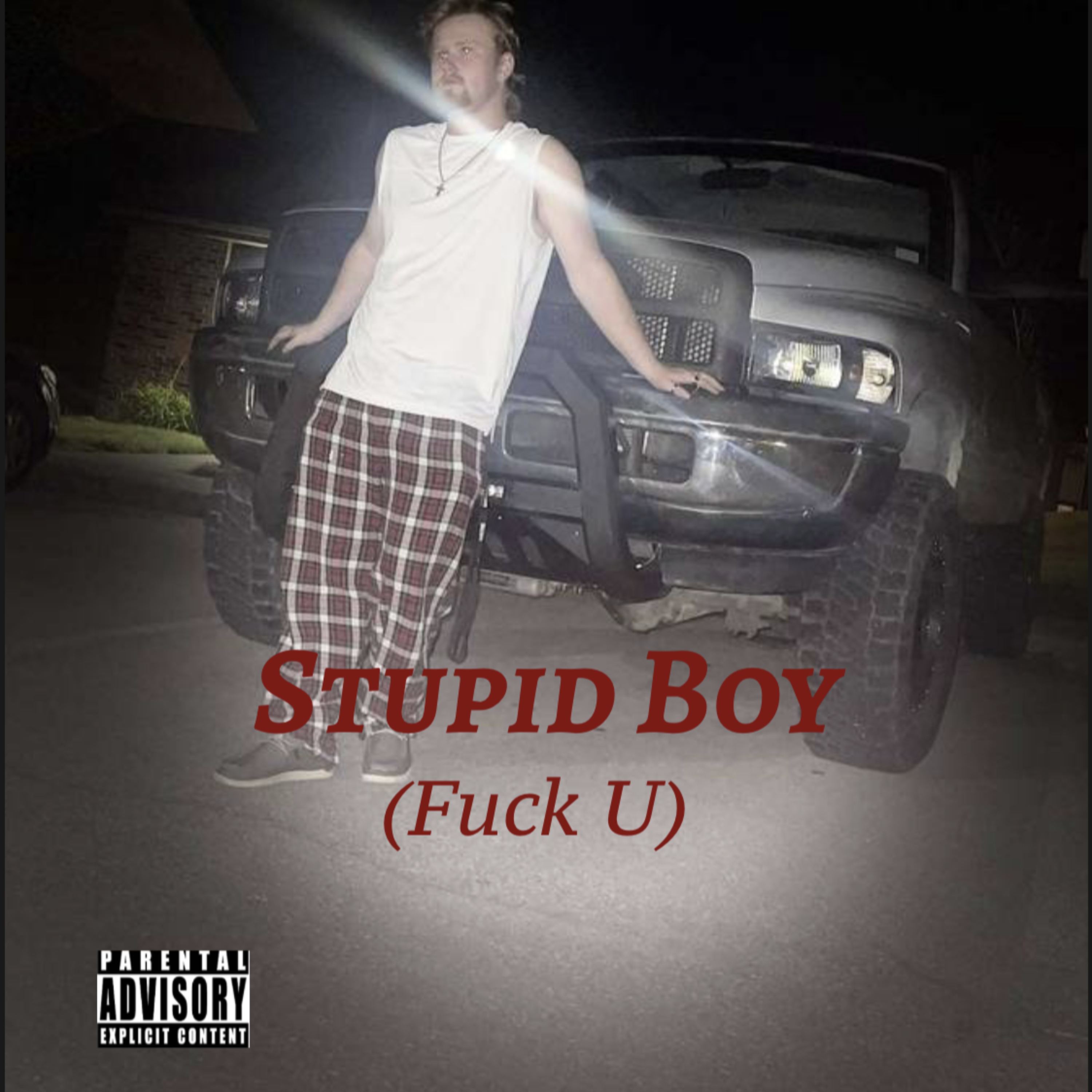 STUPID BOY (Fuck U) artwork