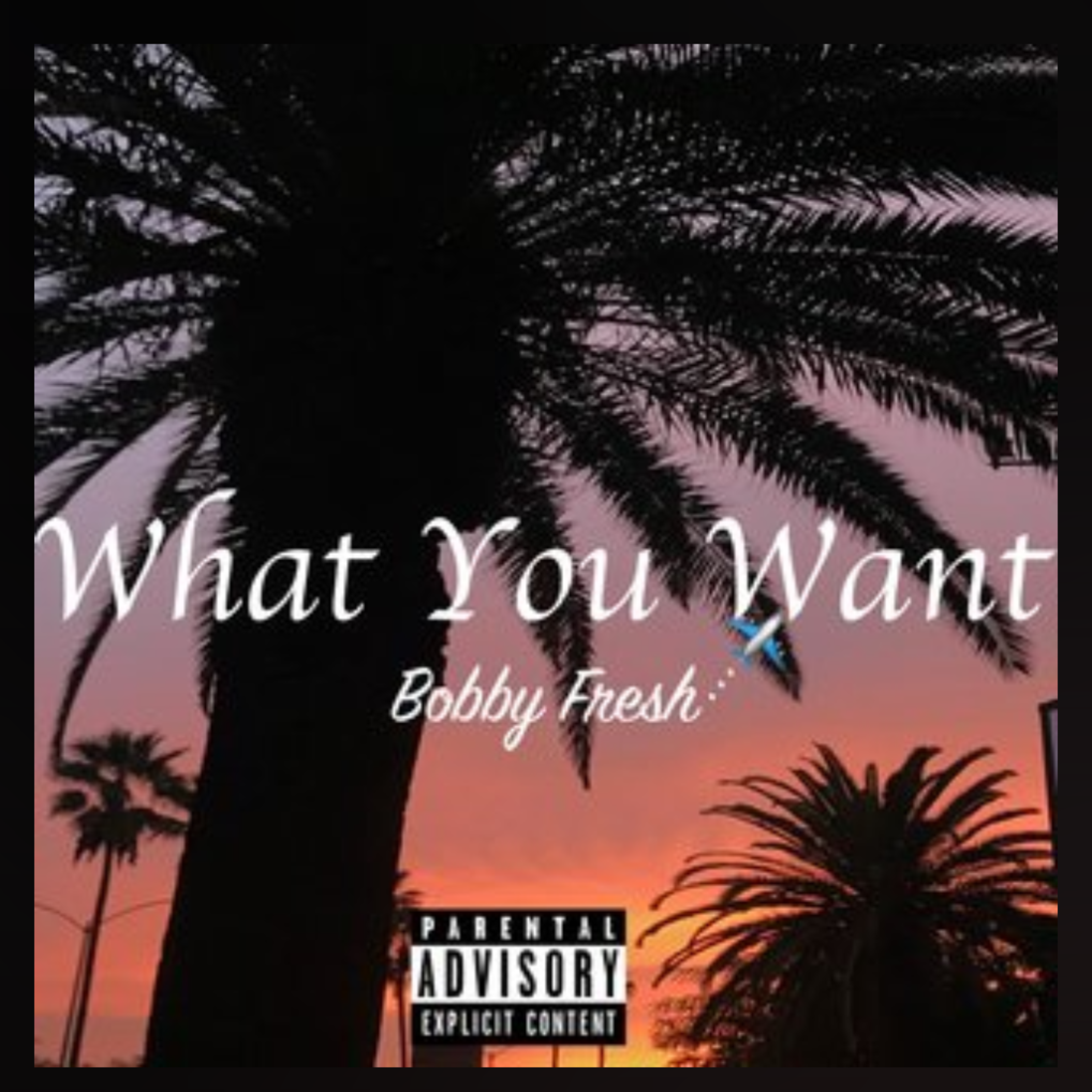 What You Want artwork