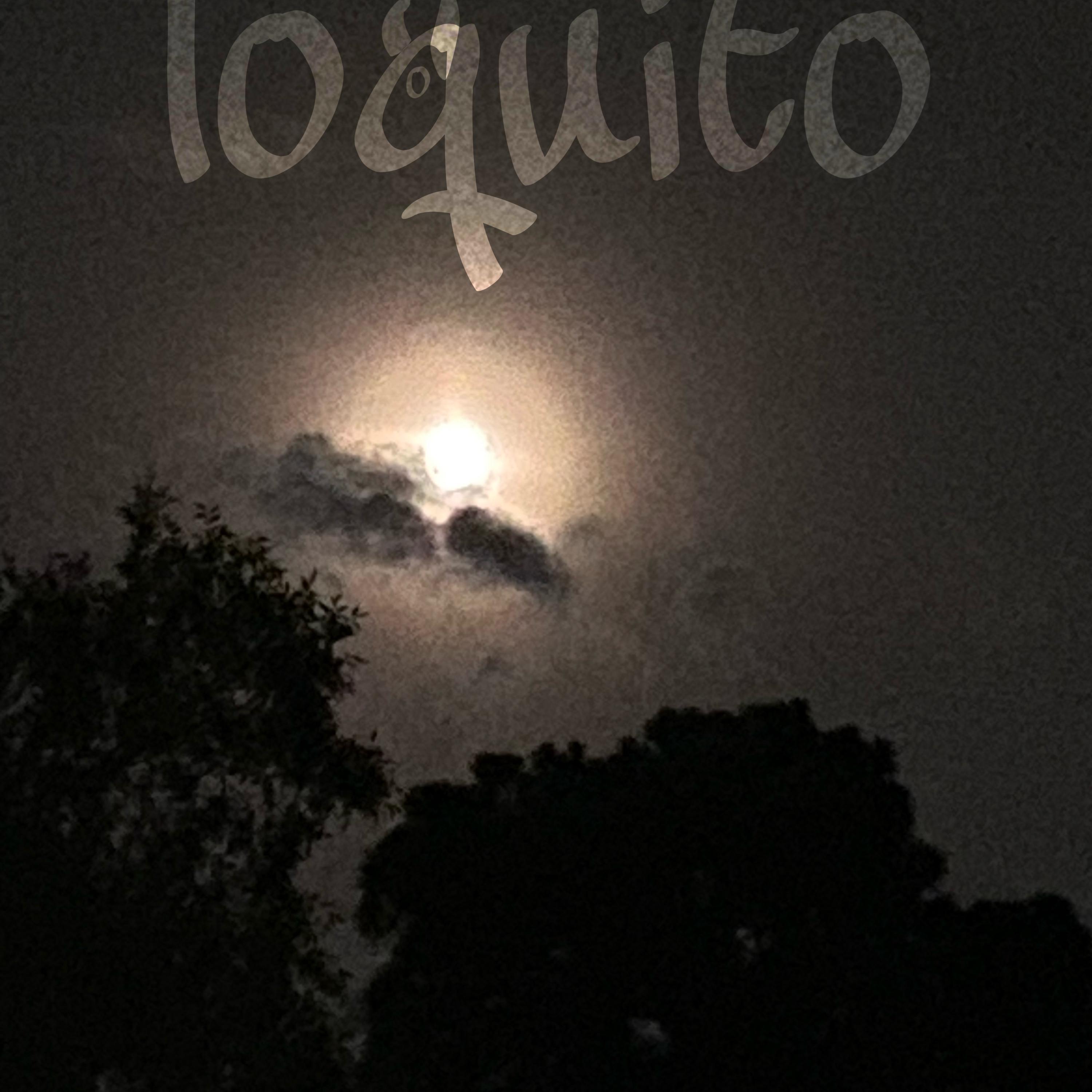 loquito artwork