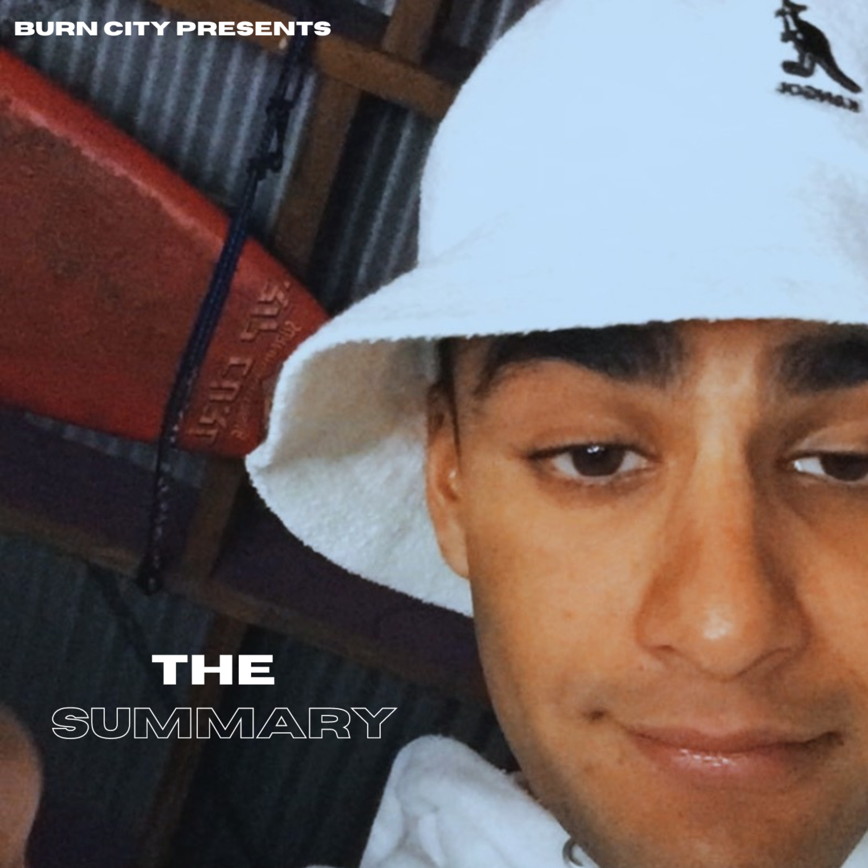 'The Summary artwork