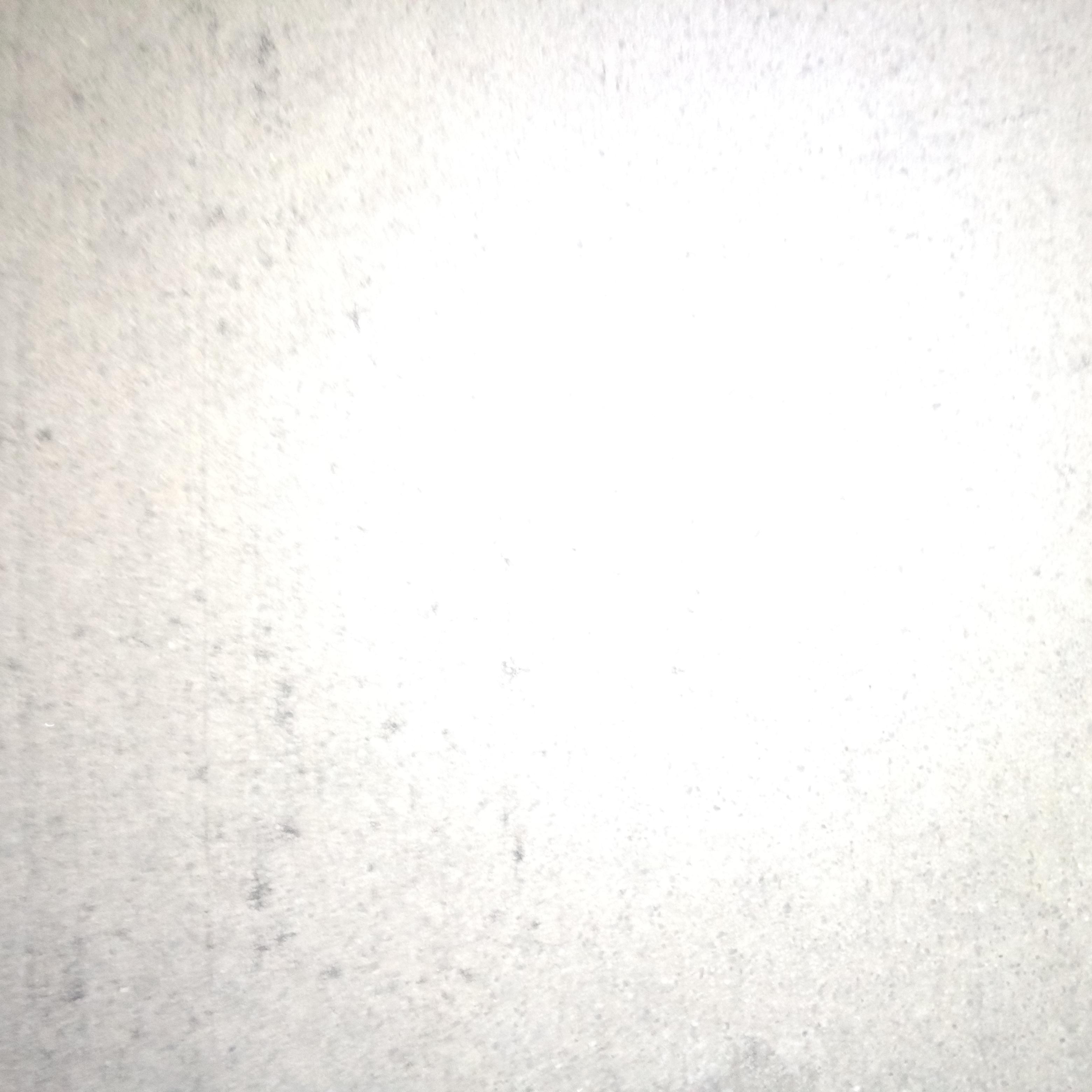 Nothing But Good Pussy artwork