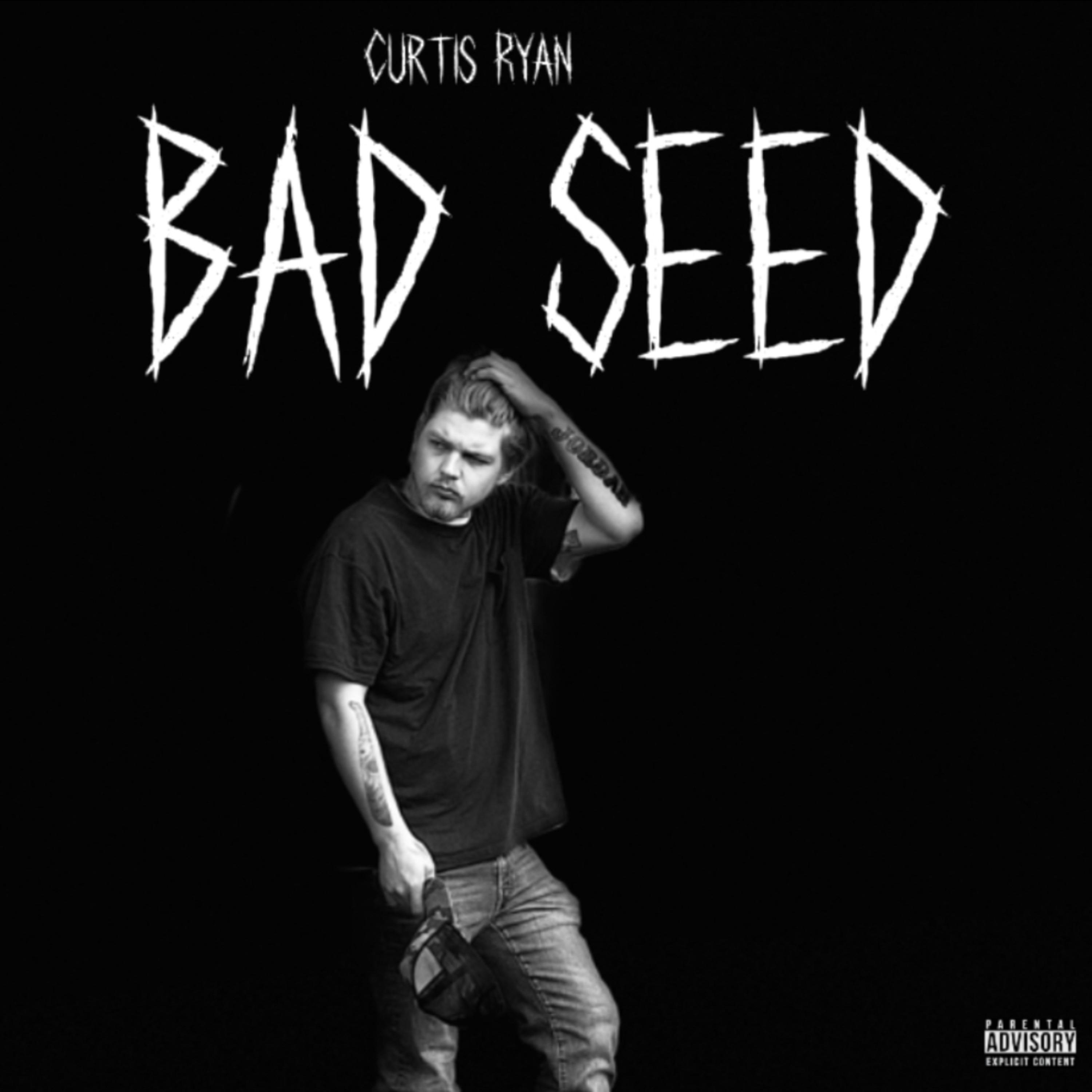 Bad Seed artwork