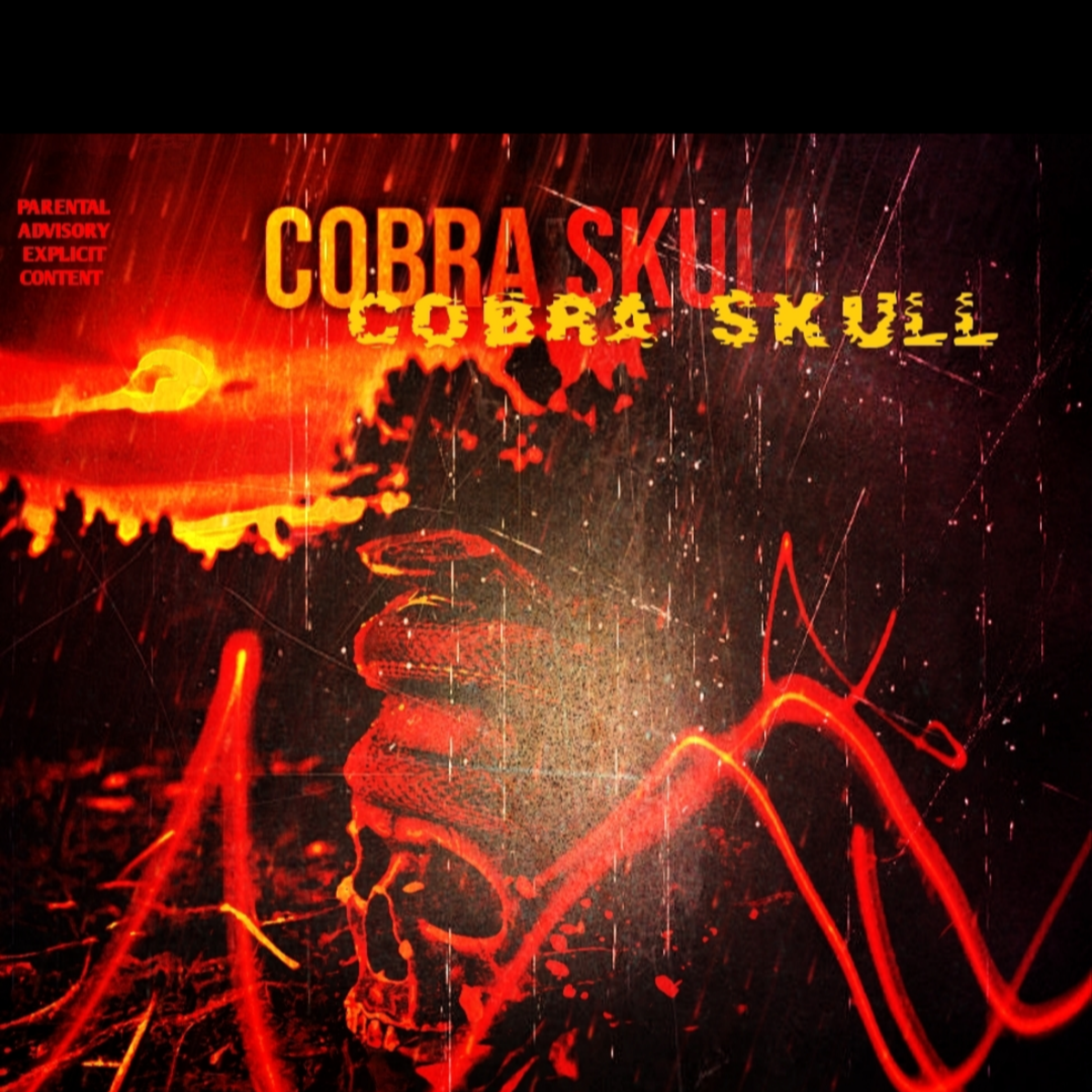 Cobra Skull artwork