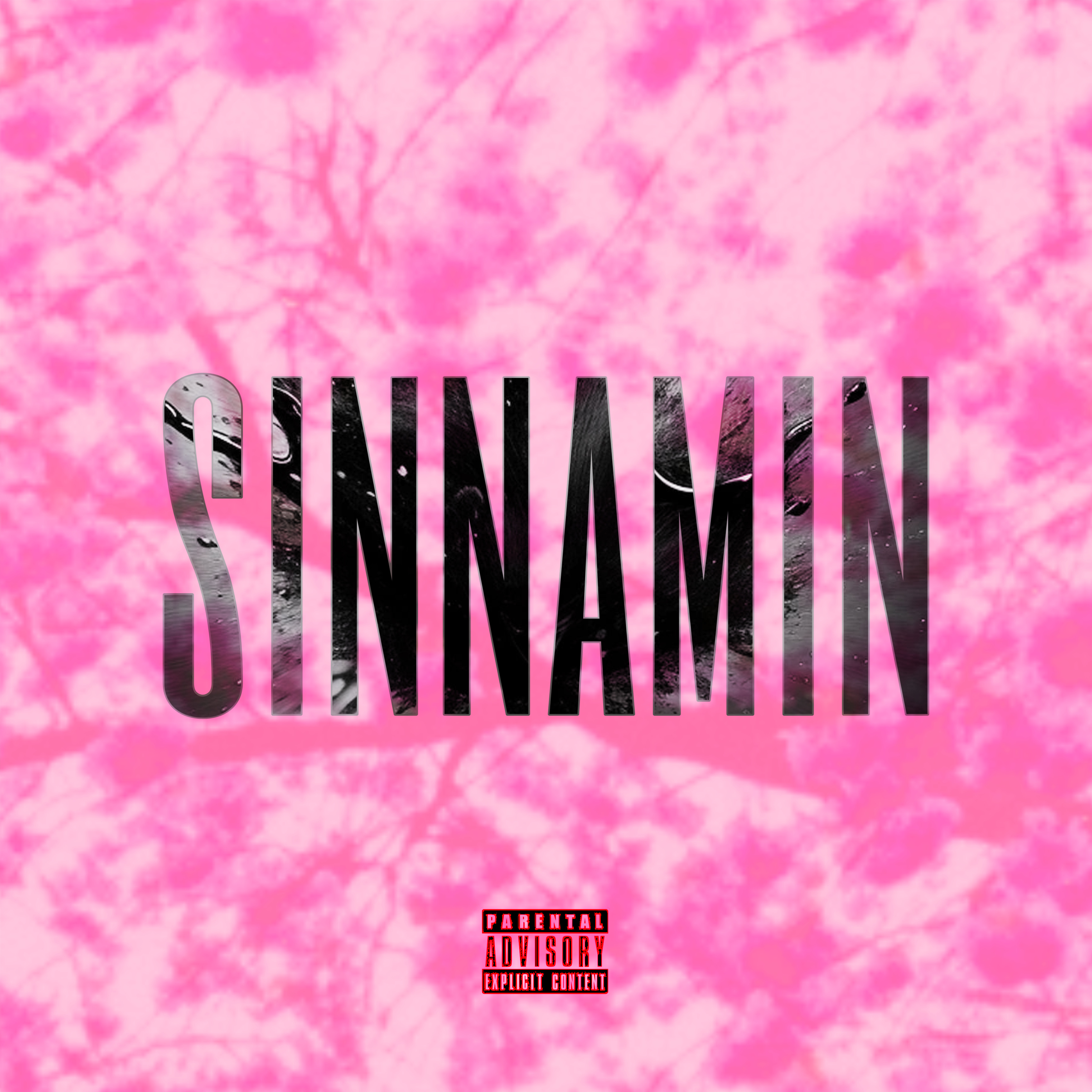 SINNAMIN artwork