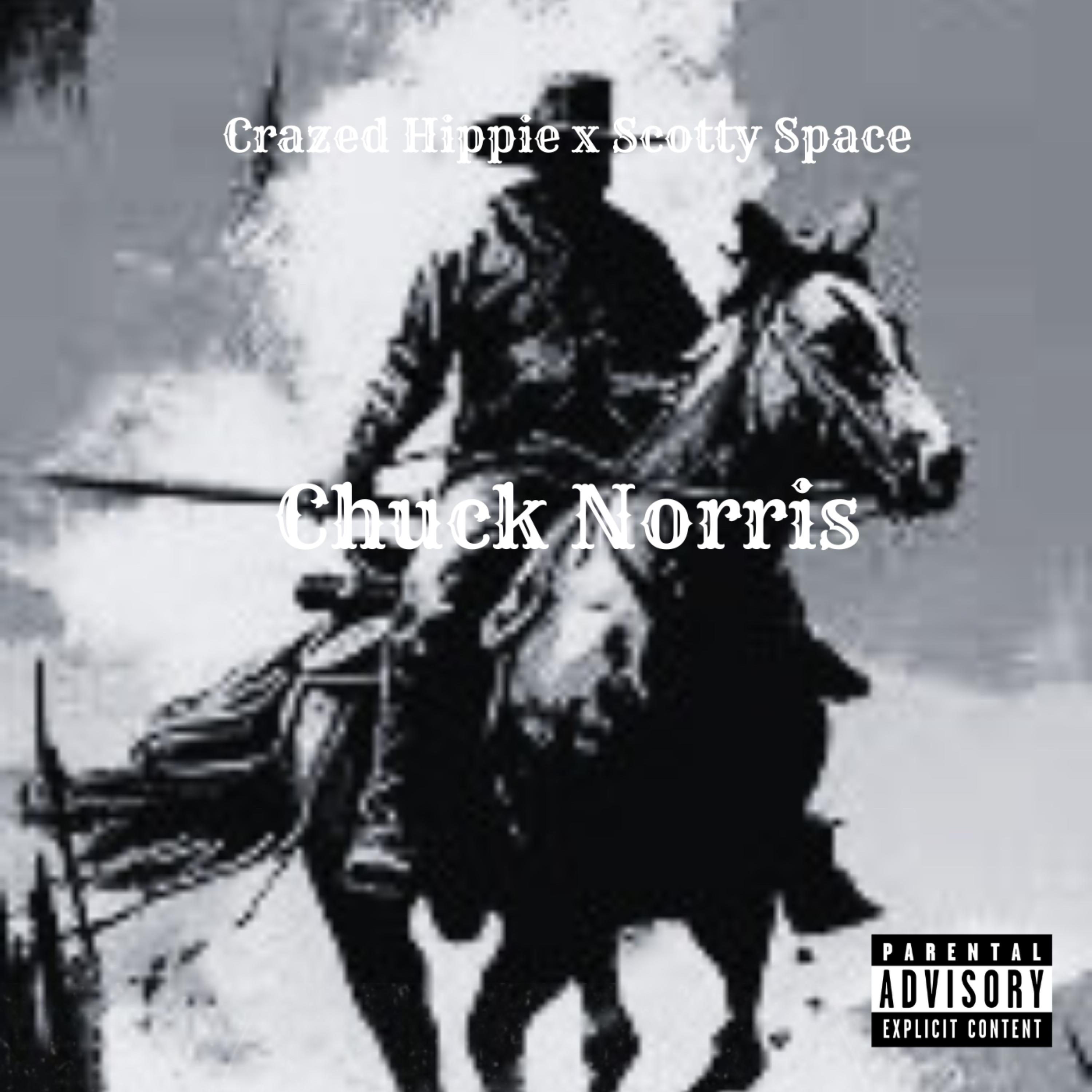Chuck Norris by Crazed Hippie cover art