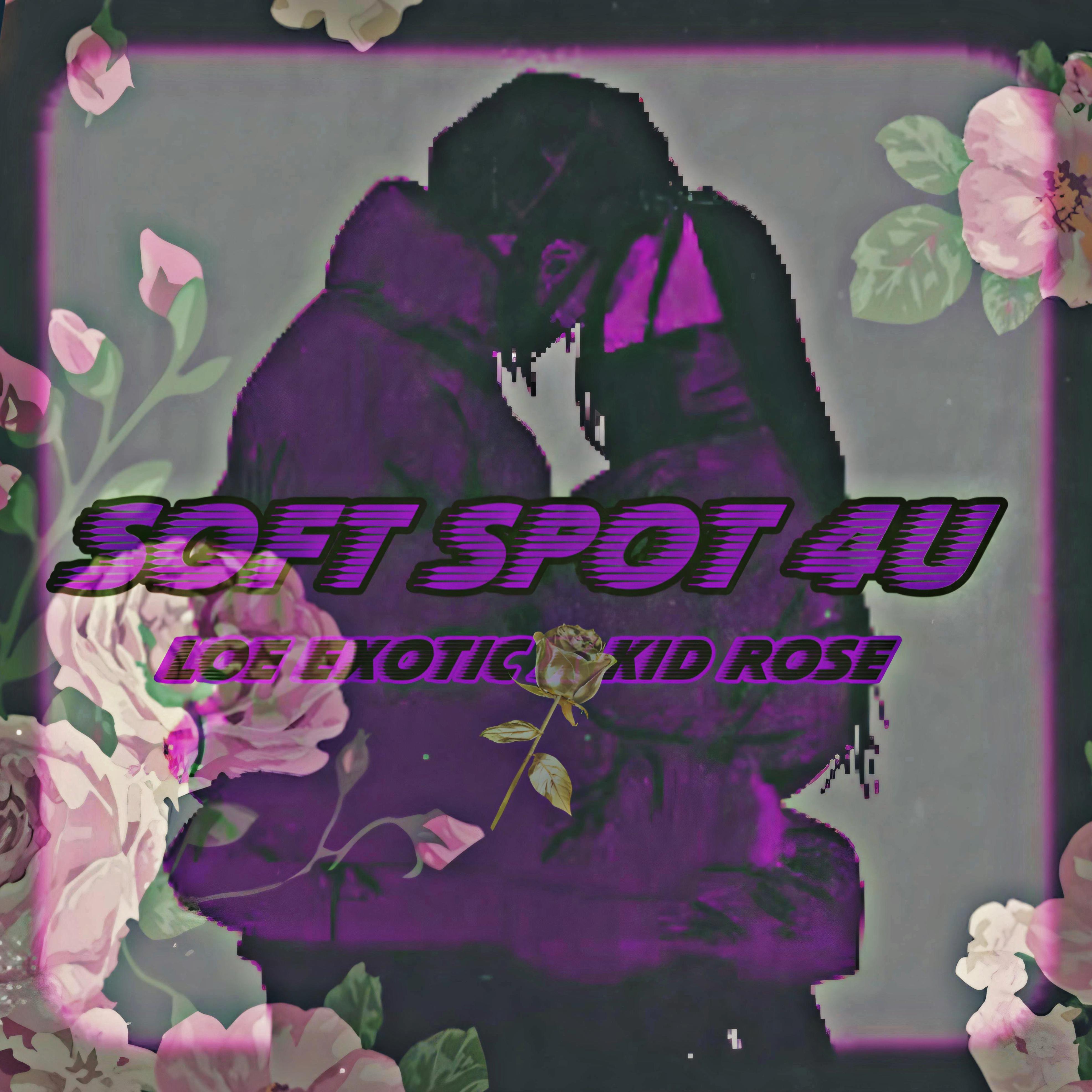 SOFT SPOT 4U artwork
