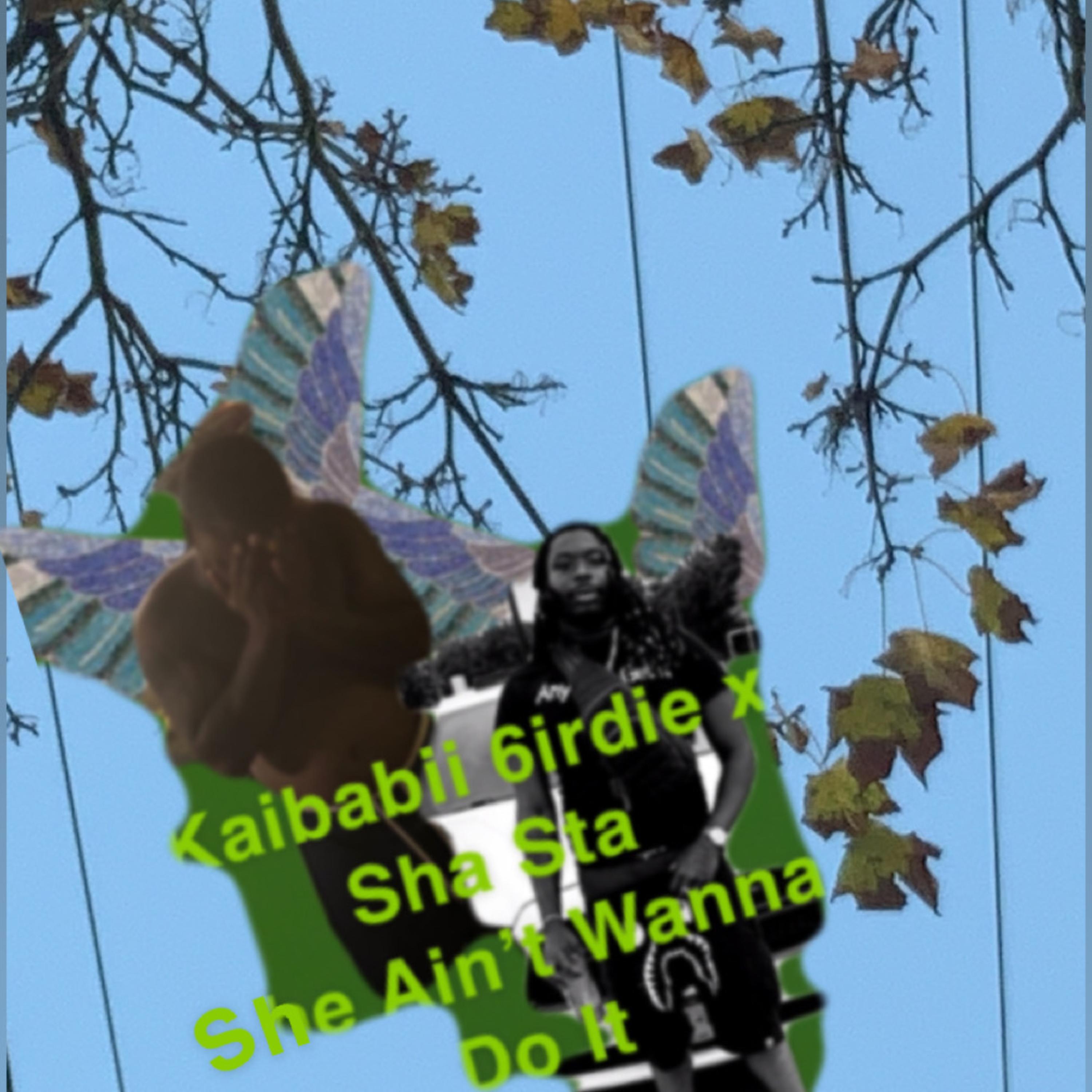 She Ain’t wanna Do It artwork