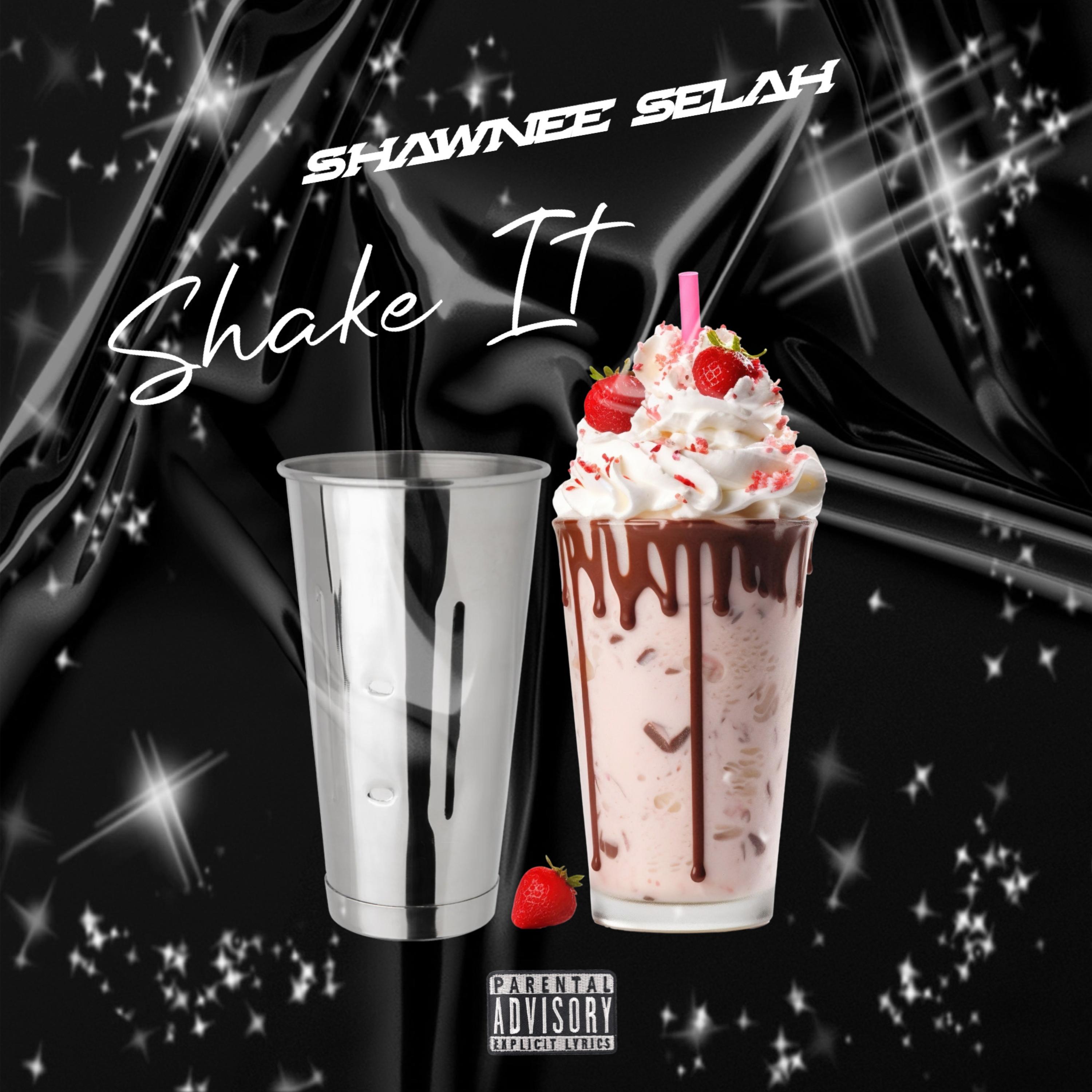 Shake It artwork