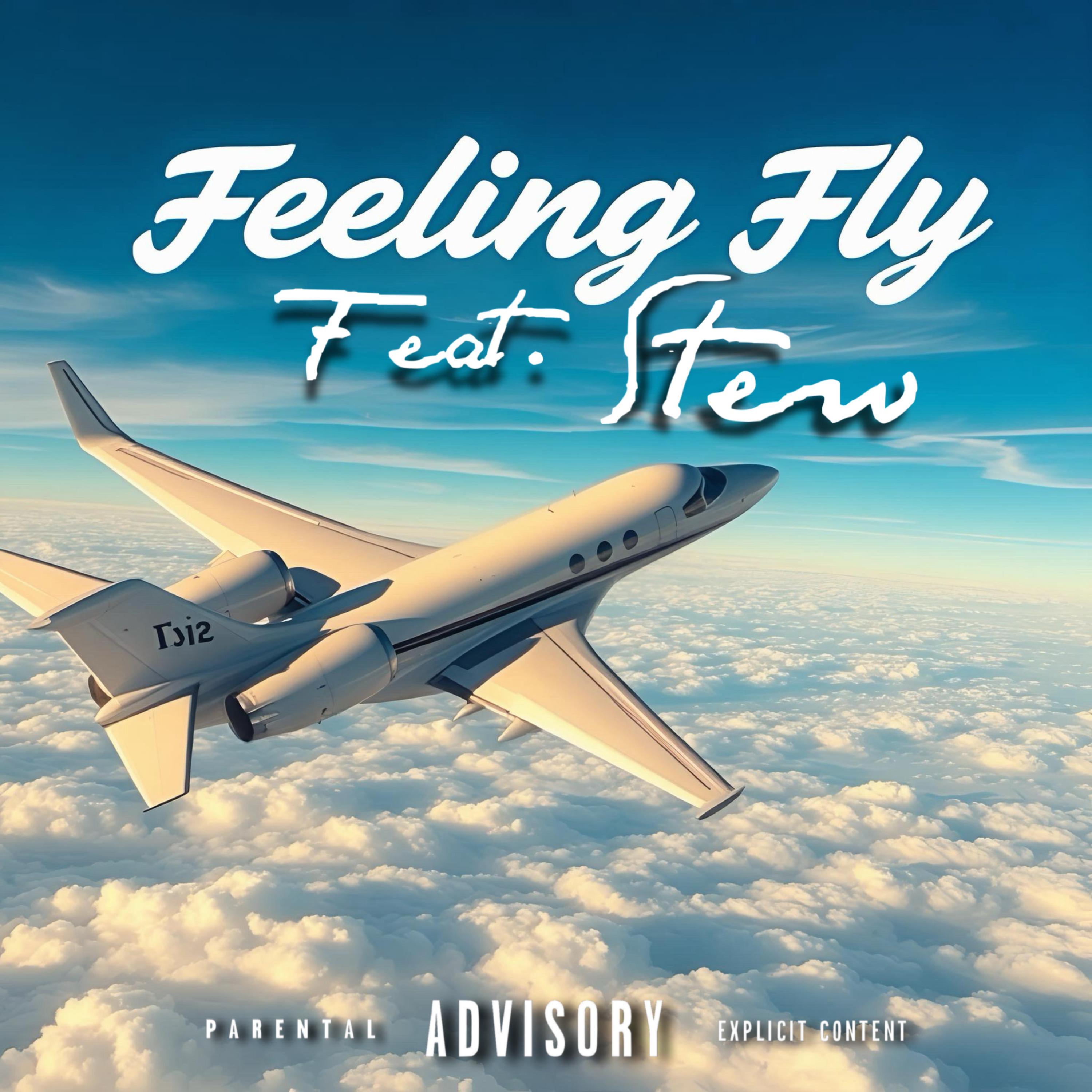 Feeling Fly artwork