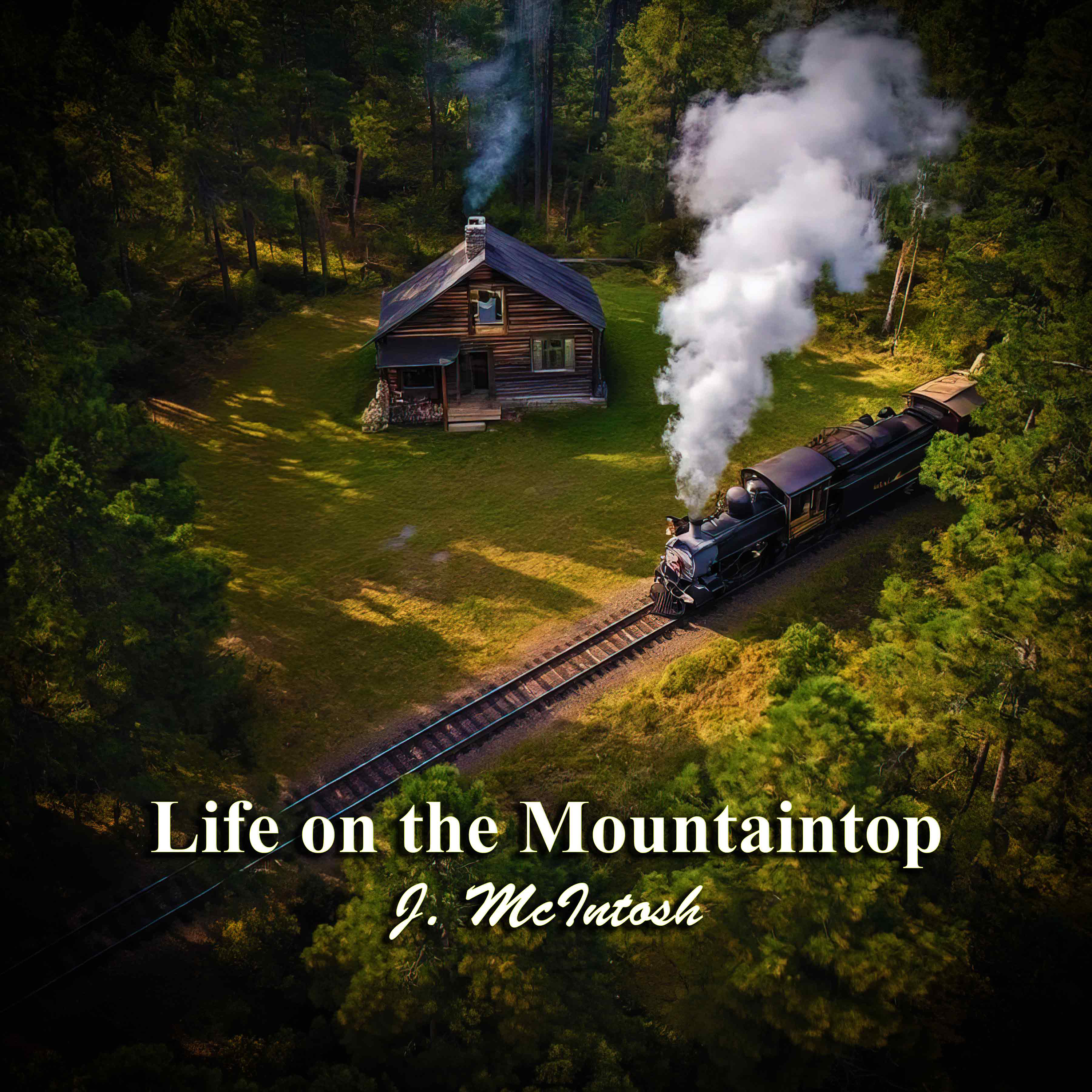 Life on the Mountaintop by J. McIntosh cover art