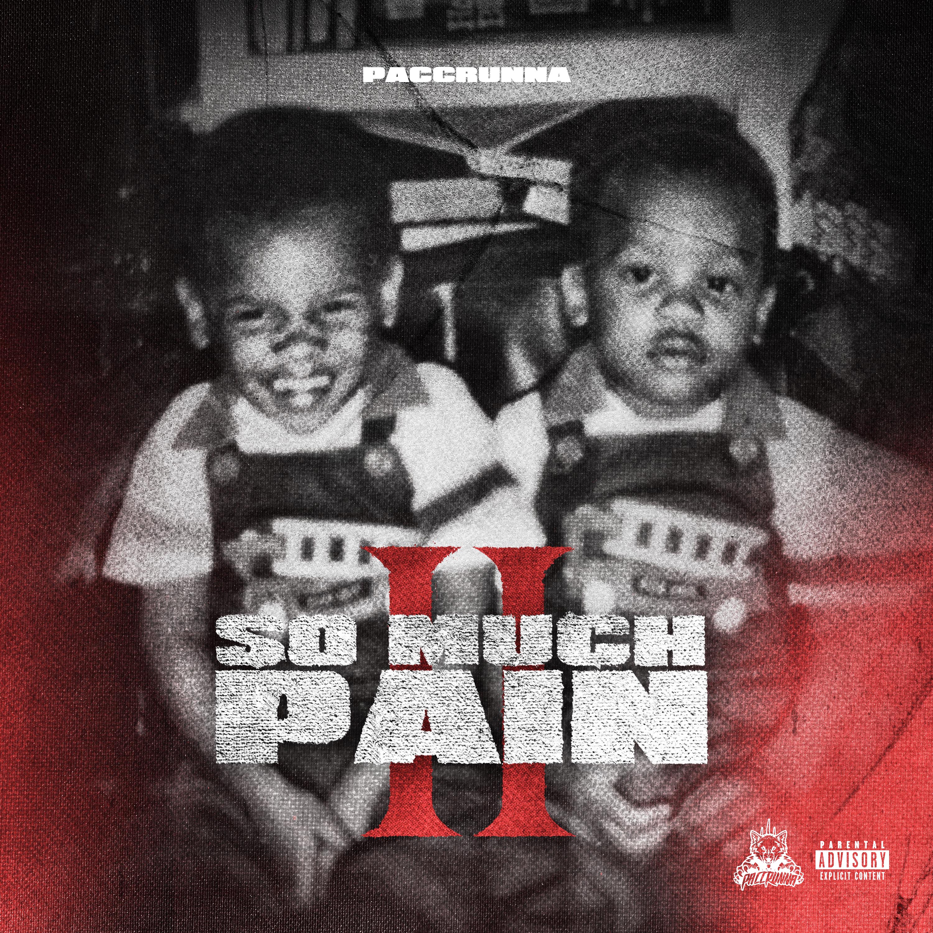 So Much Pain 2  artwork
