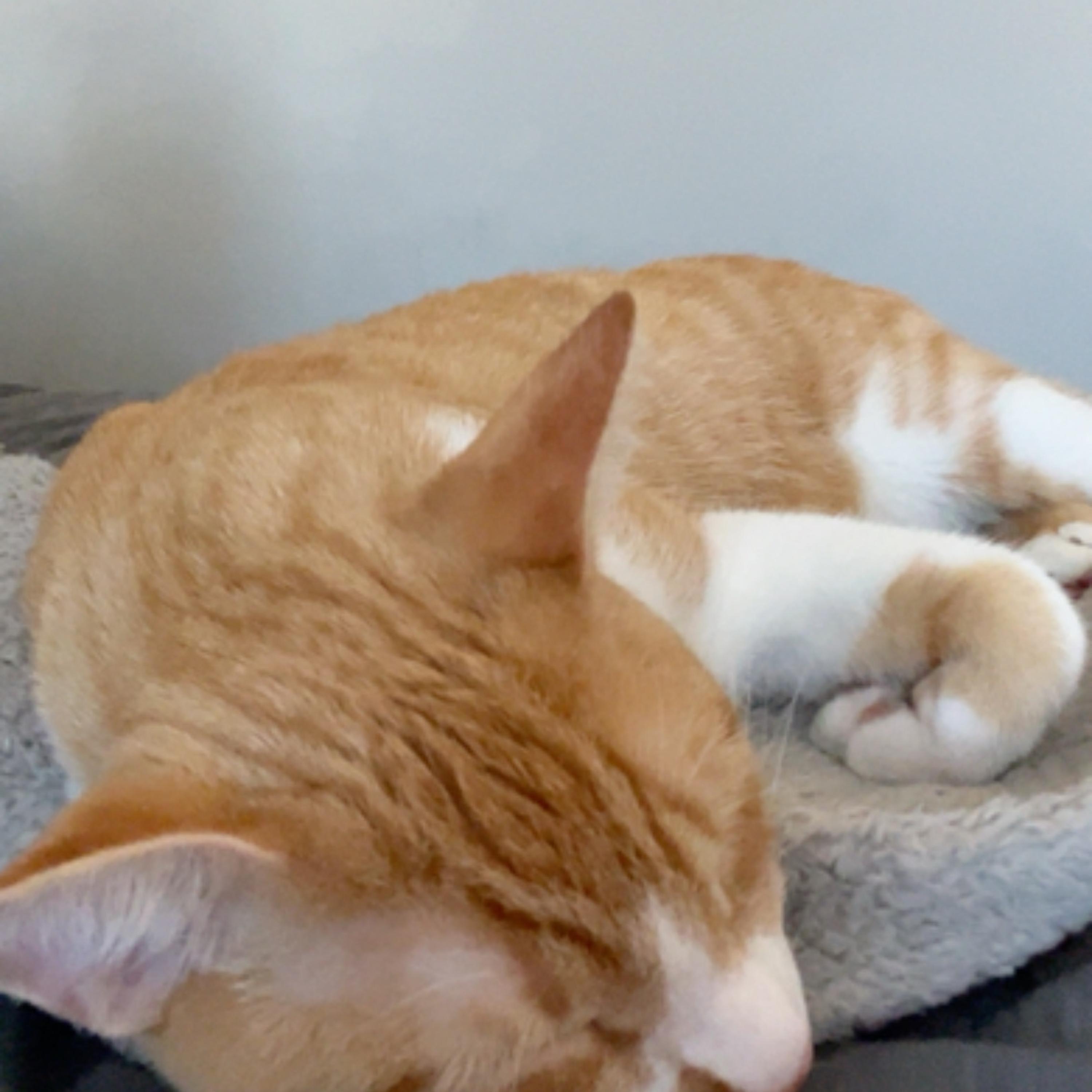 Positive vibez artwork