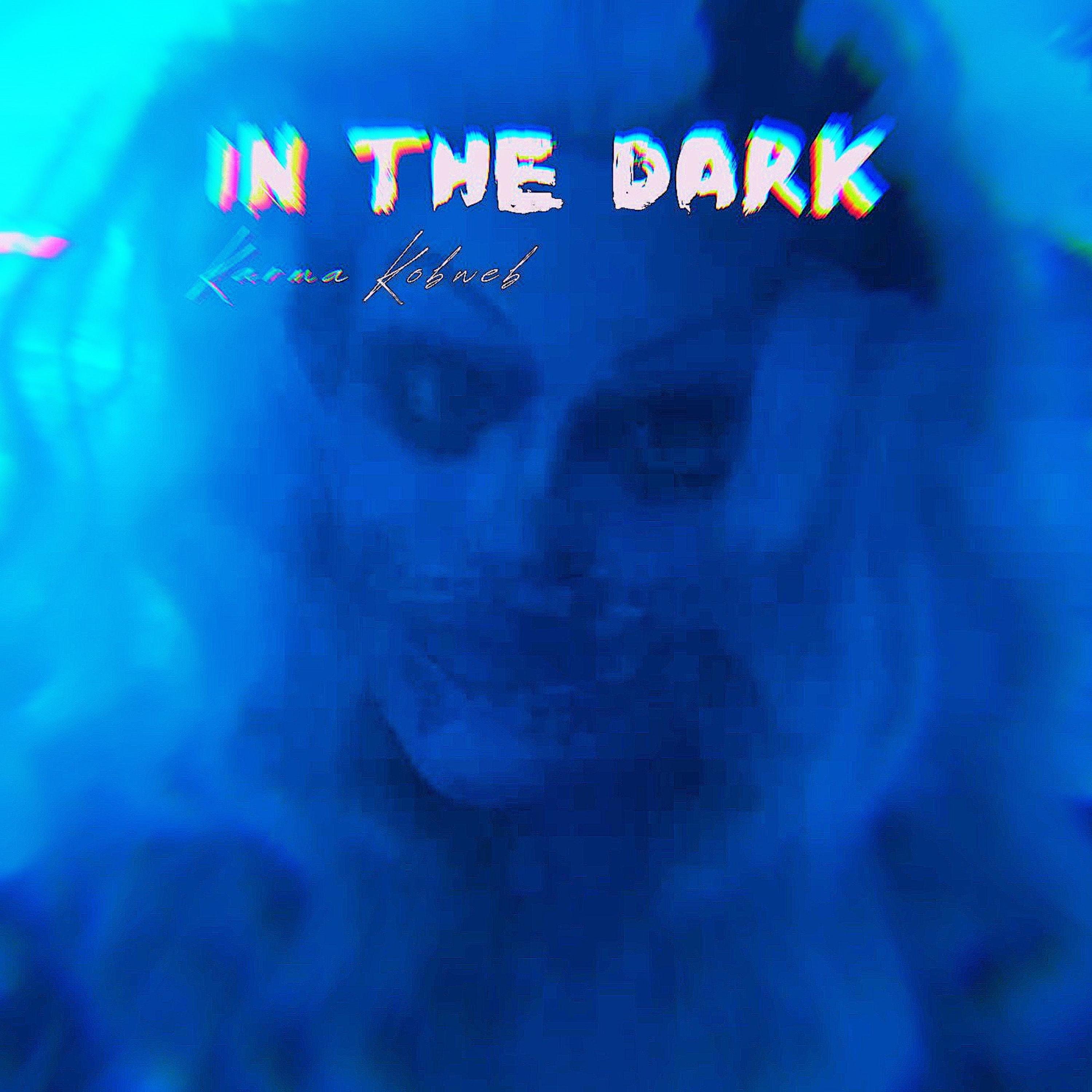 In The Dark artwork