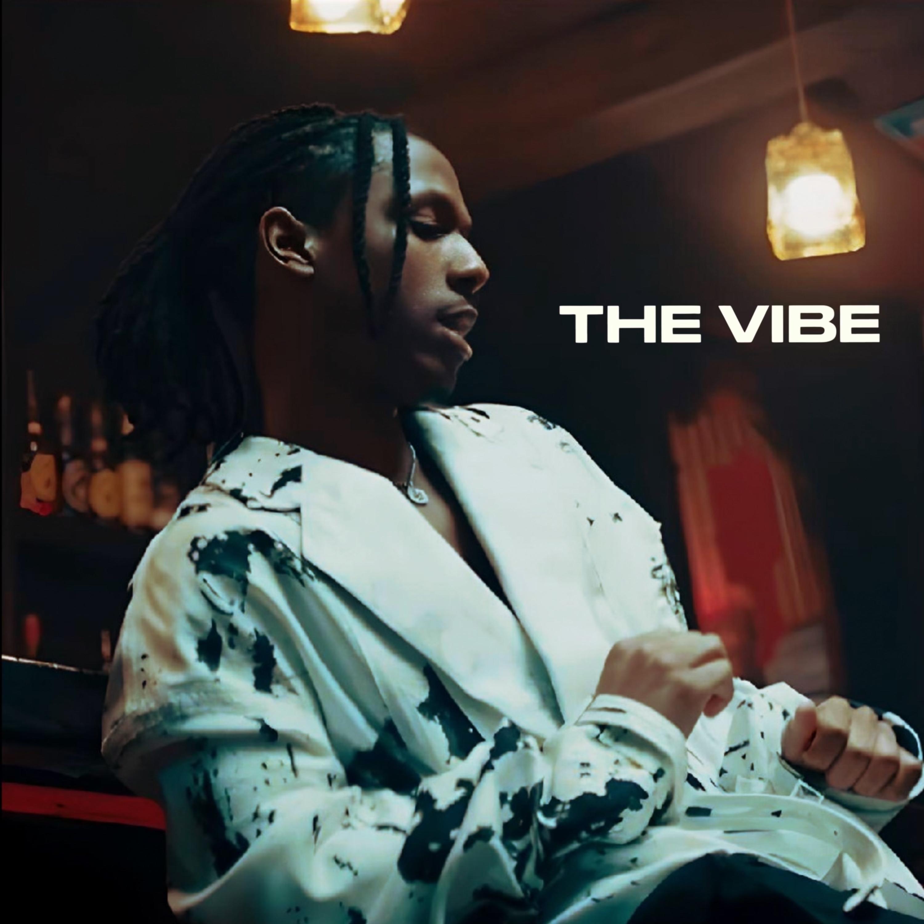the vibe artwork