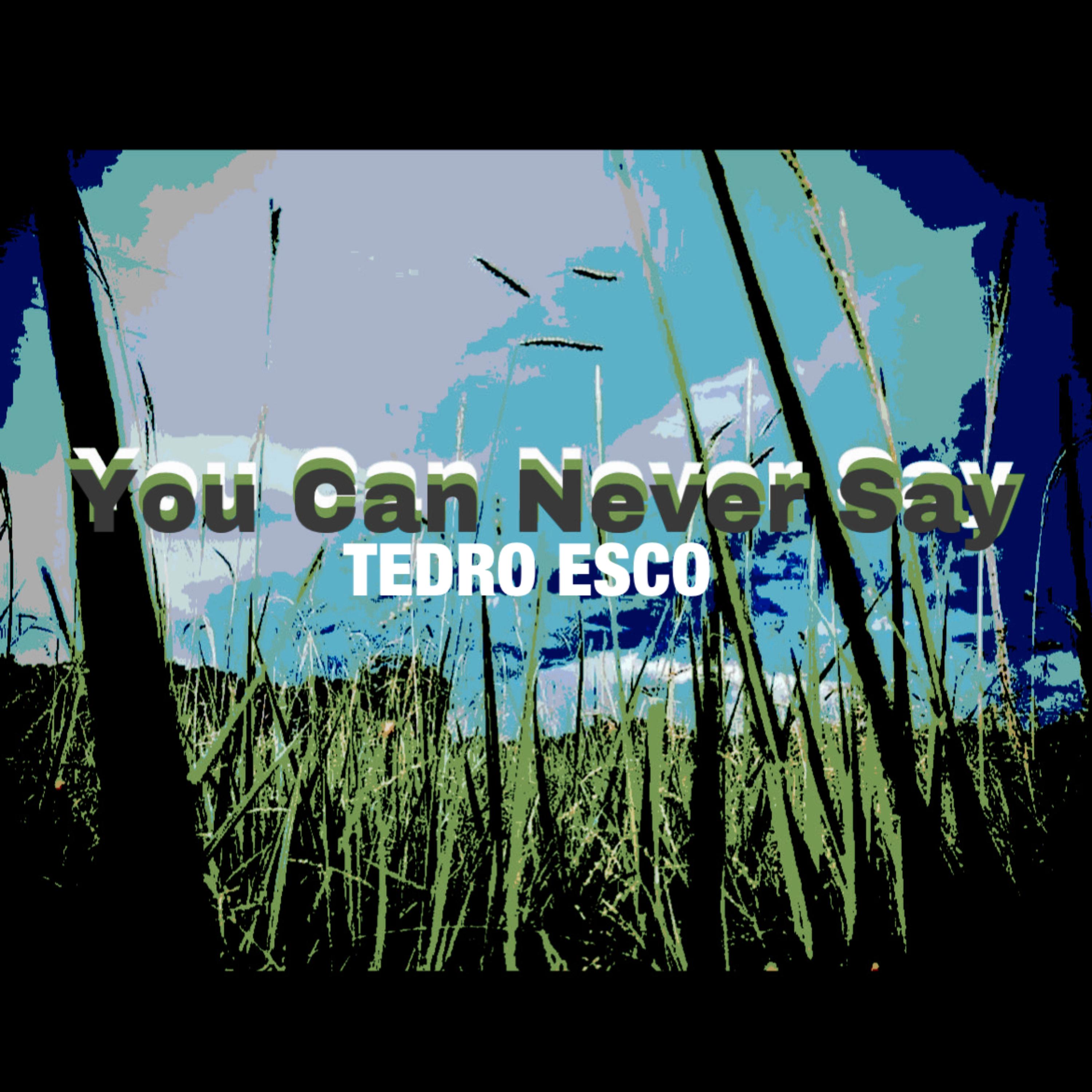 You Can Never Say by TEDRO ESCO cover art
