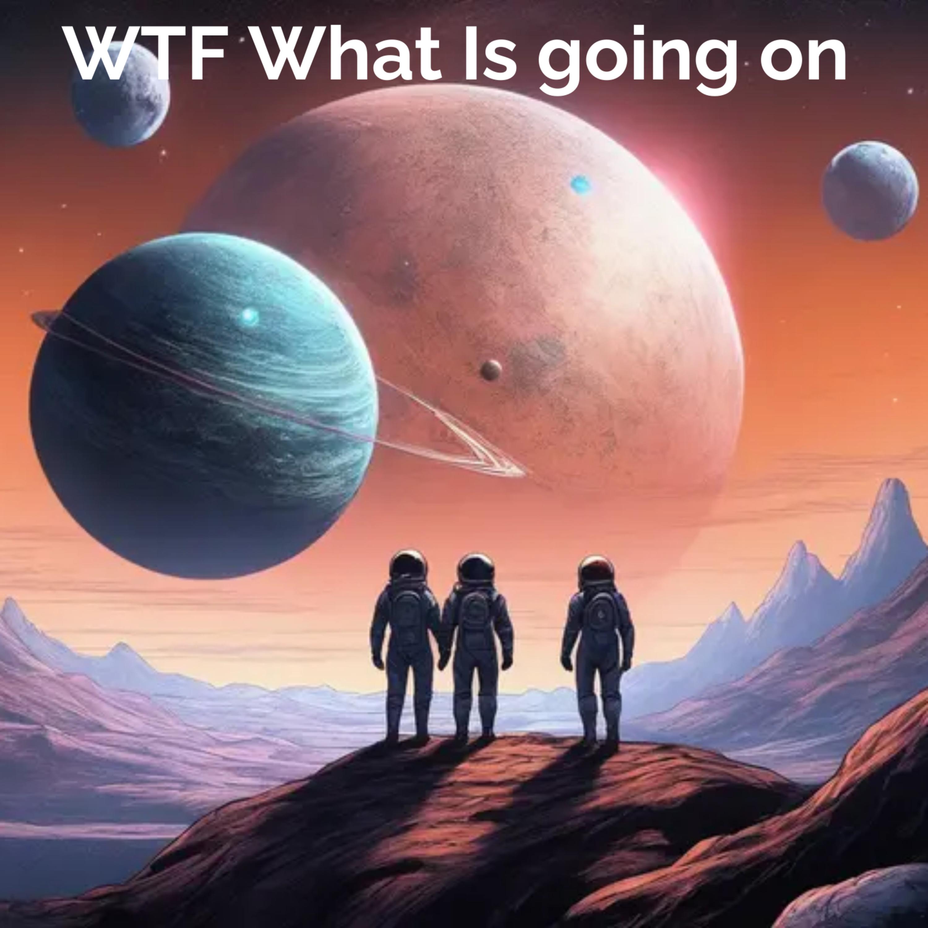 WTF What Is going on artwork