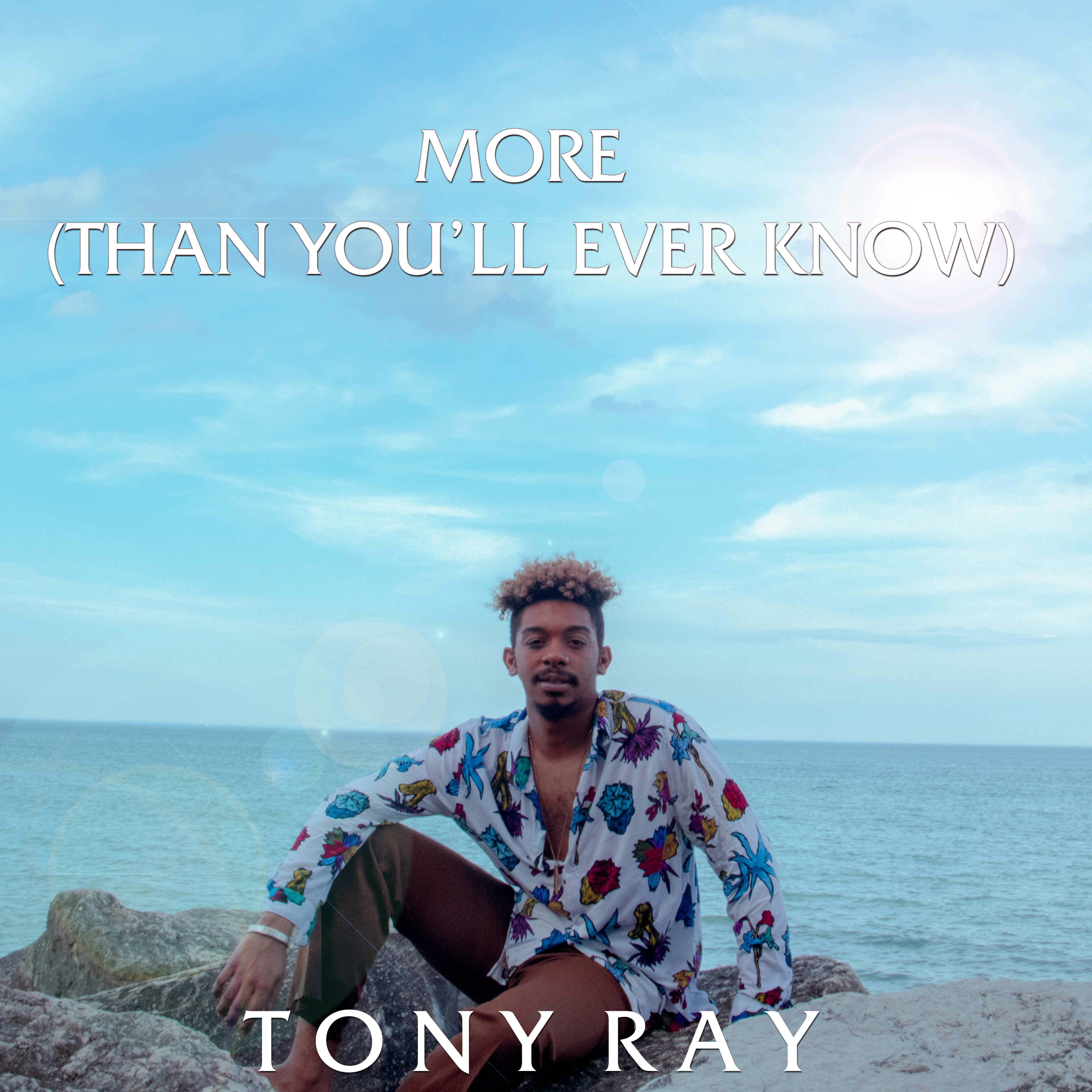 More (Than You'll Ever Know) artwork
