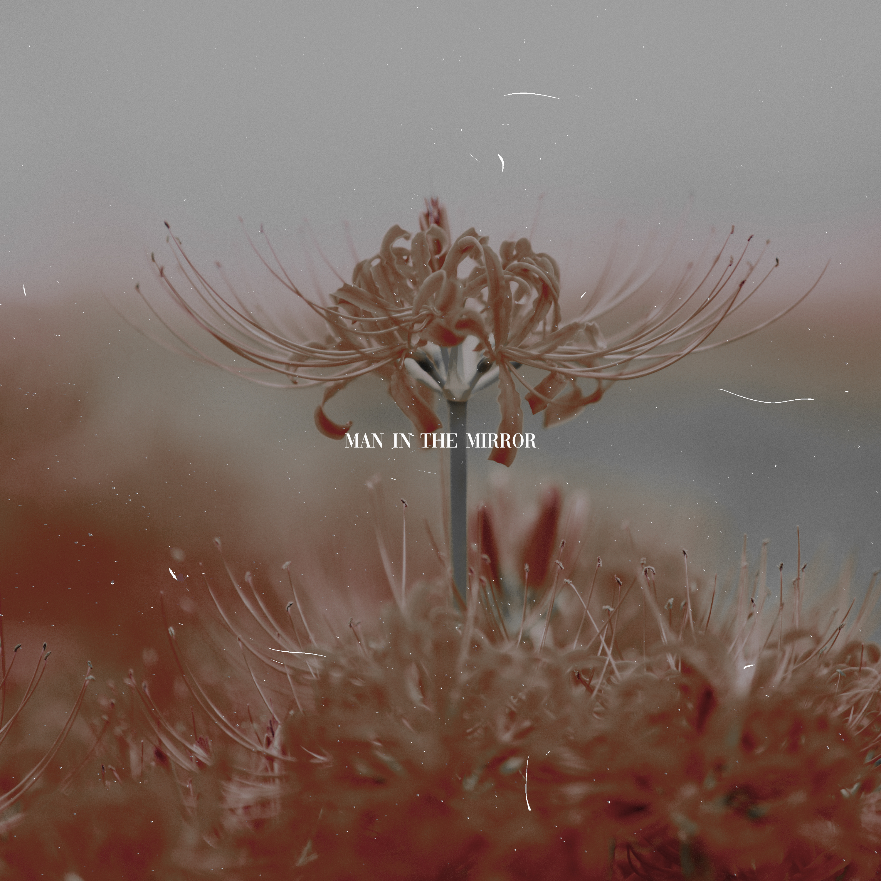 Man in the Mirror artwork