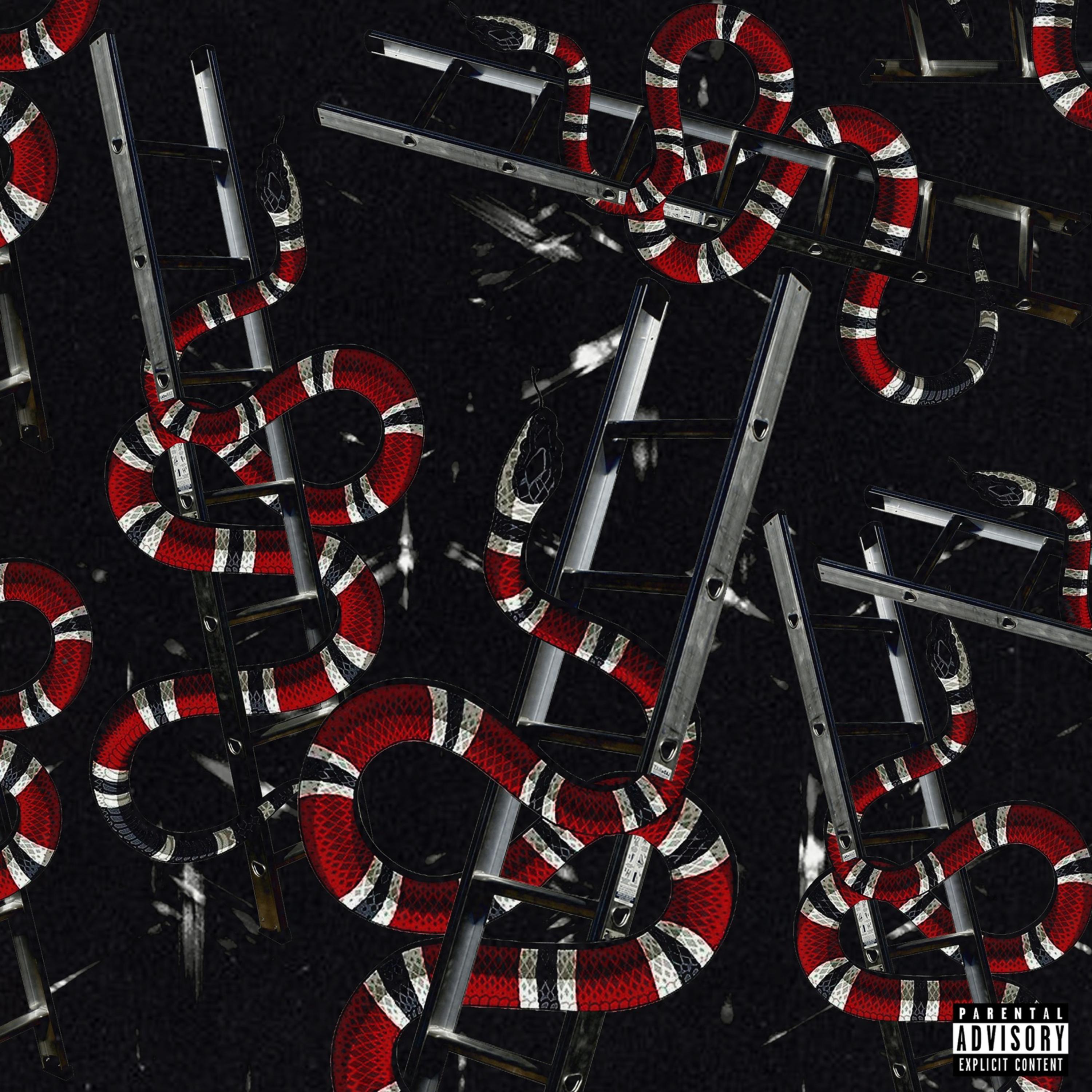 Snakes And Ladders artwork