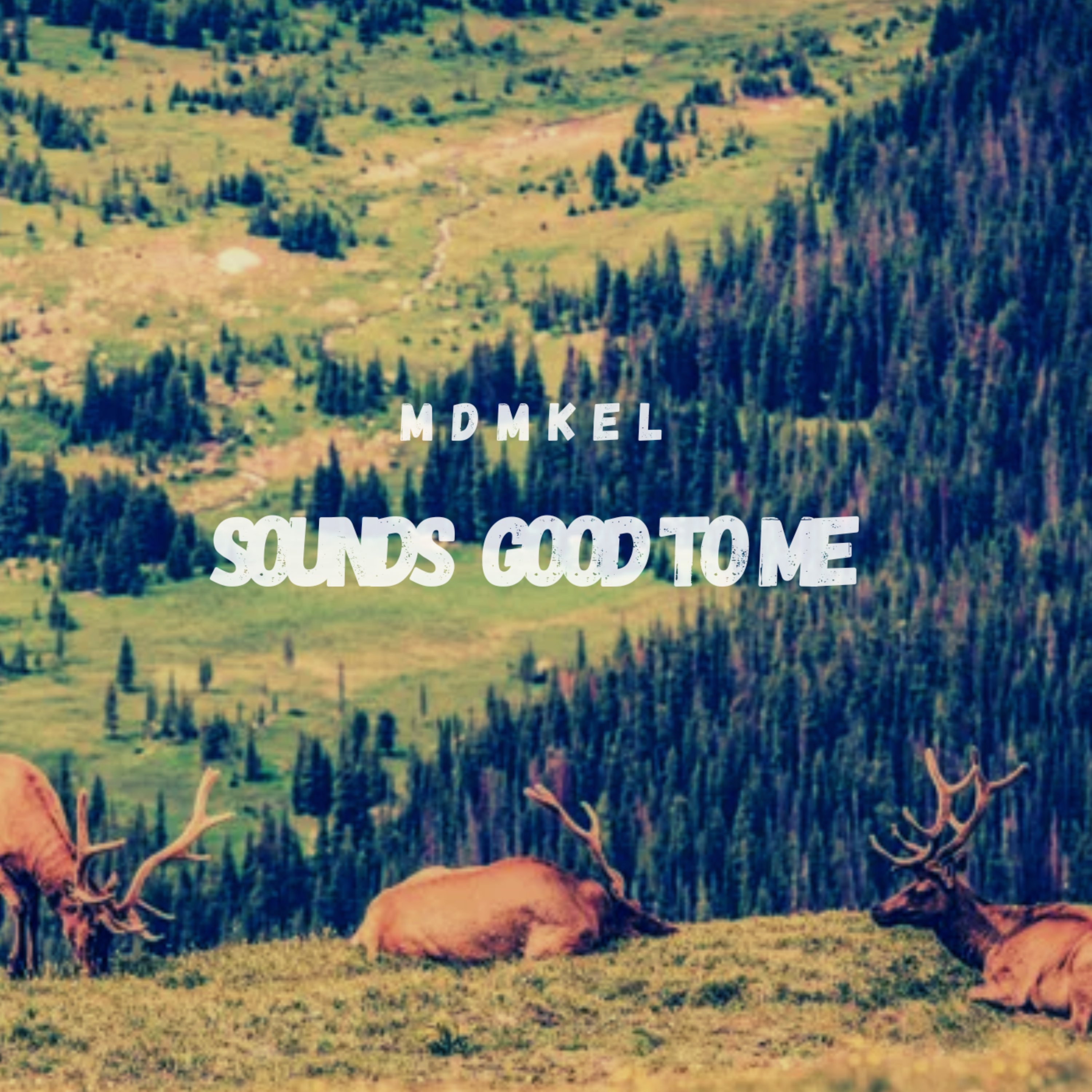 Sounds Good To Me artwork