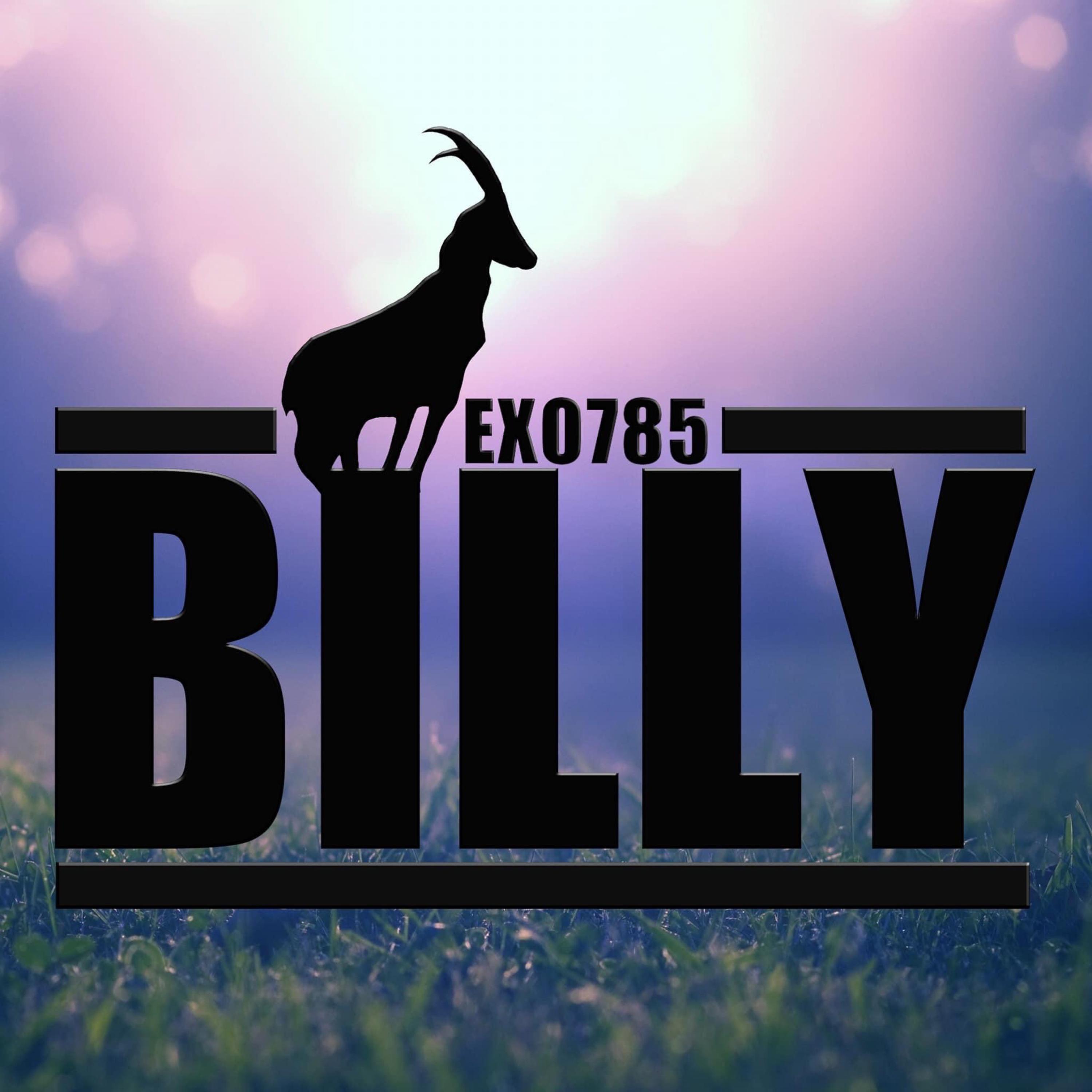 BILLY artwork
