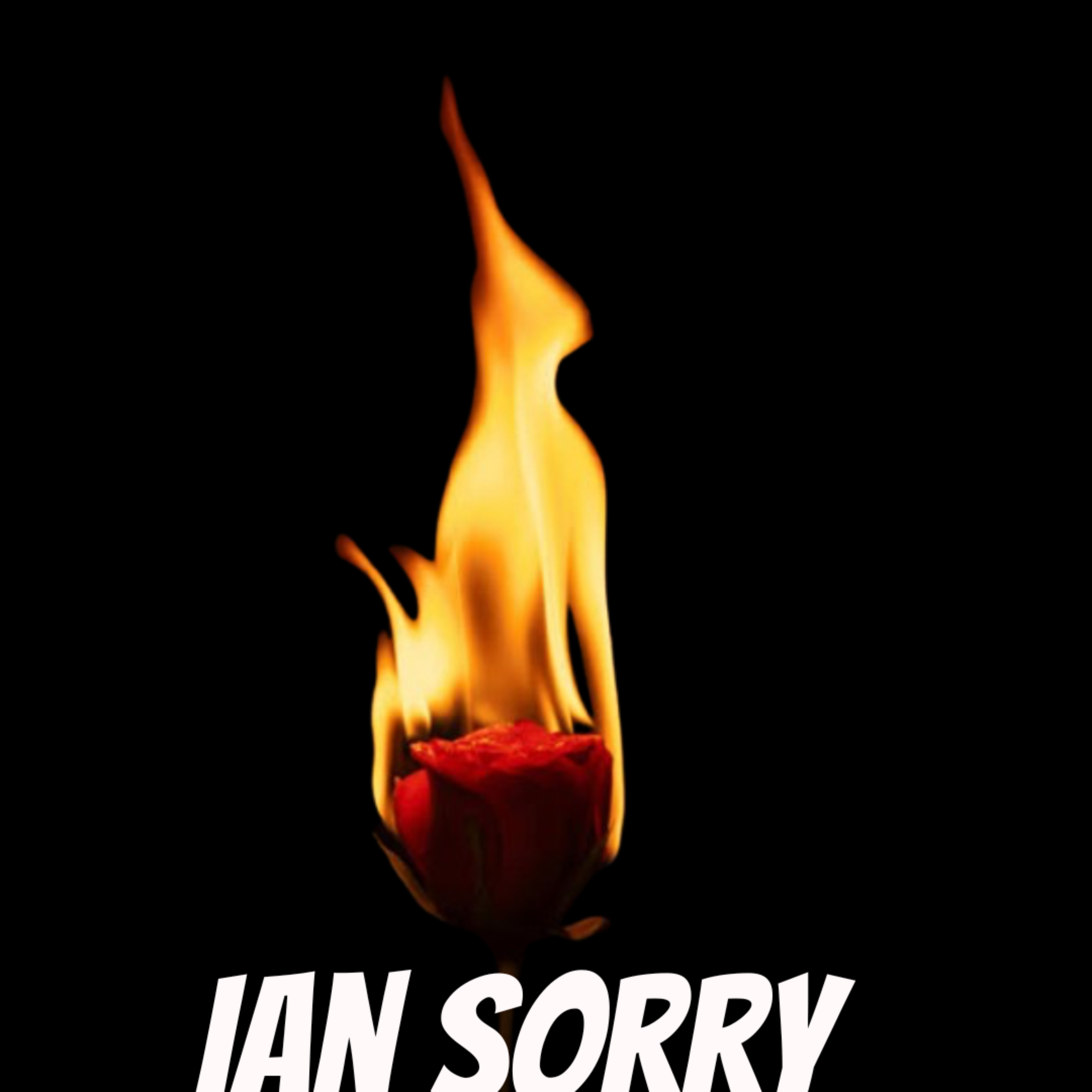 Ian Sorry artwork