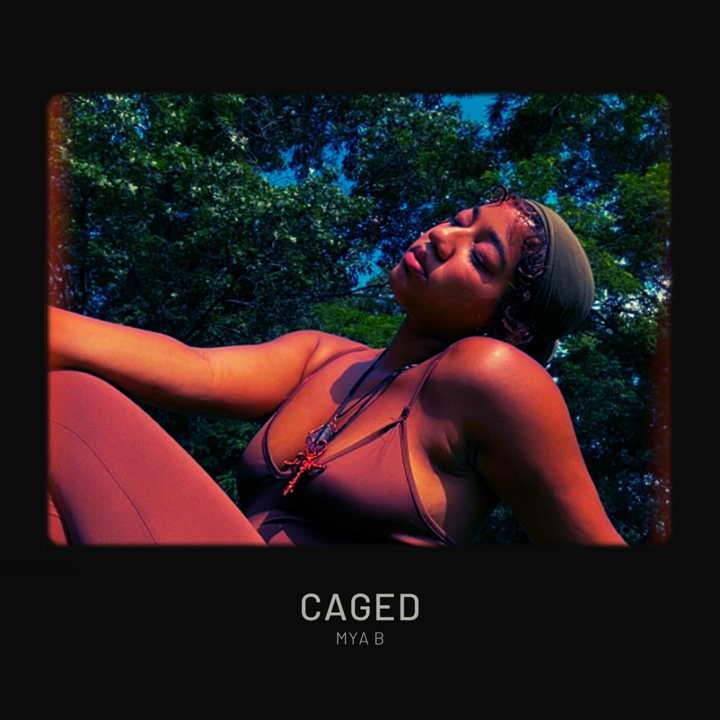 Caged artwork