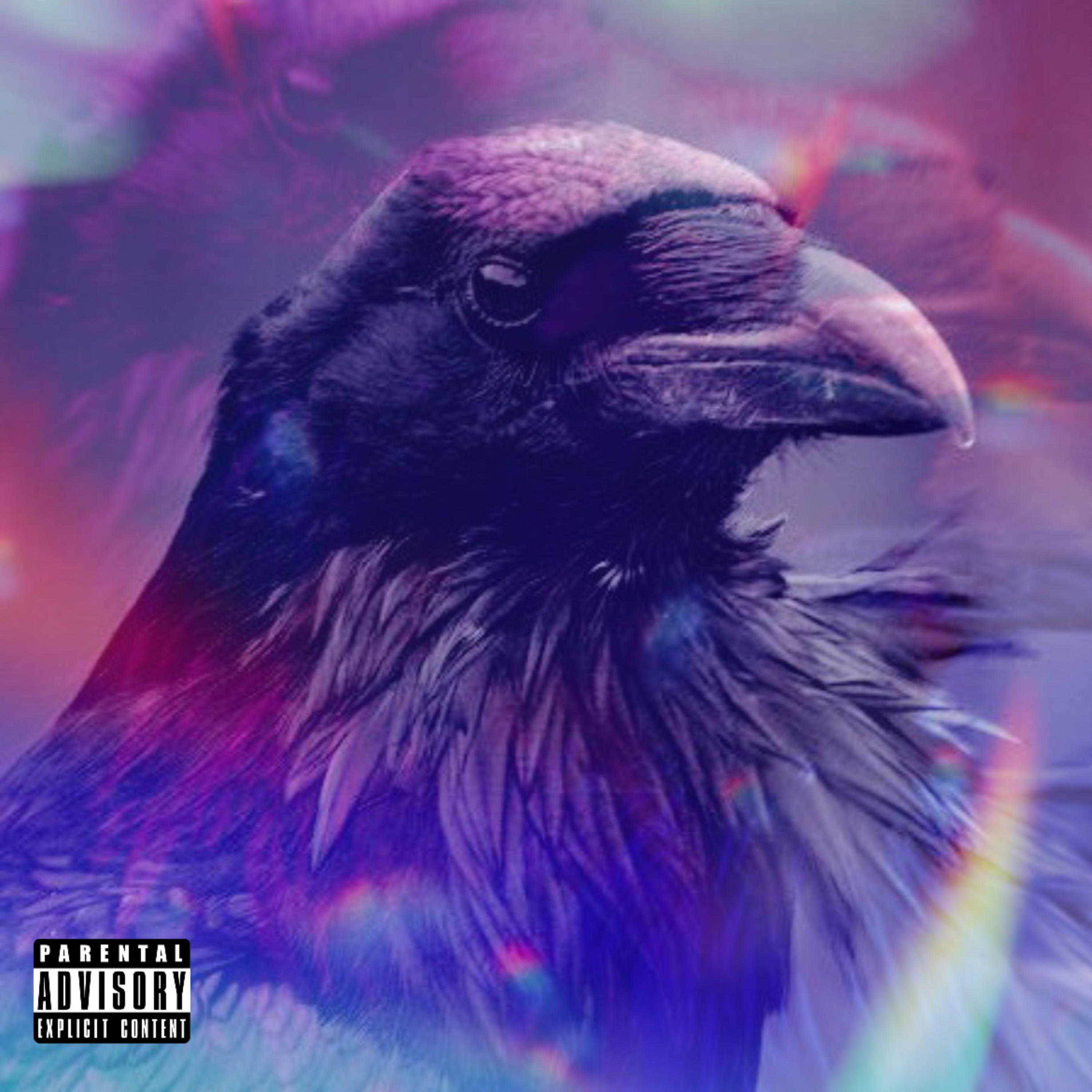 7 artwork