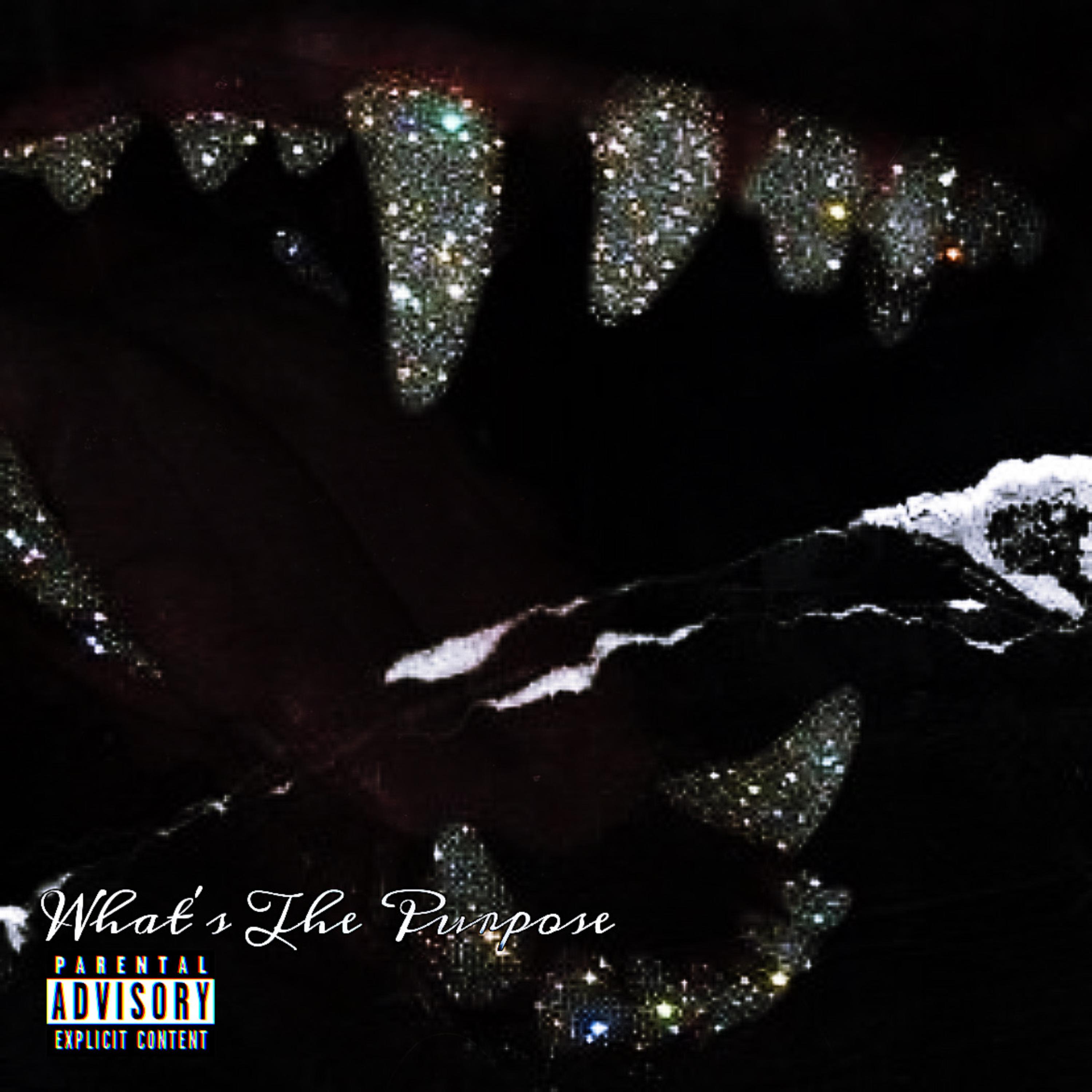Whats The Purpose artwork