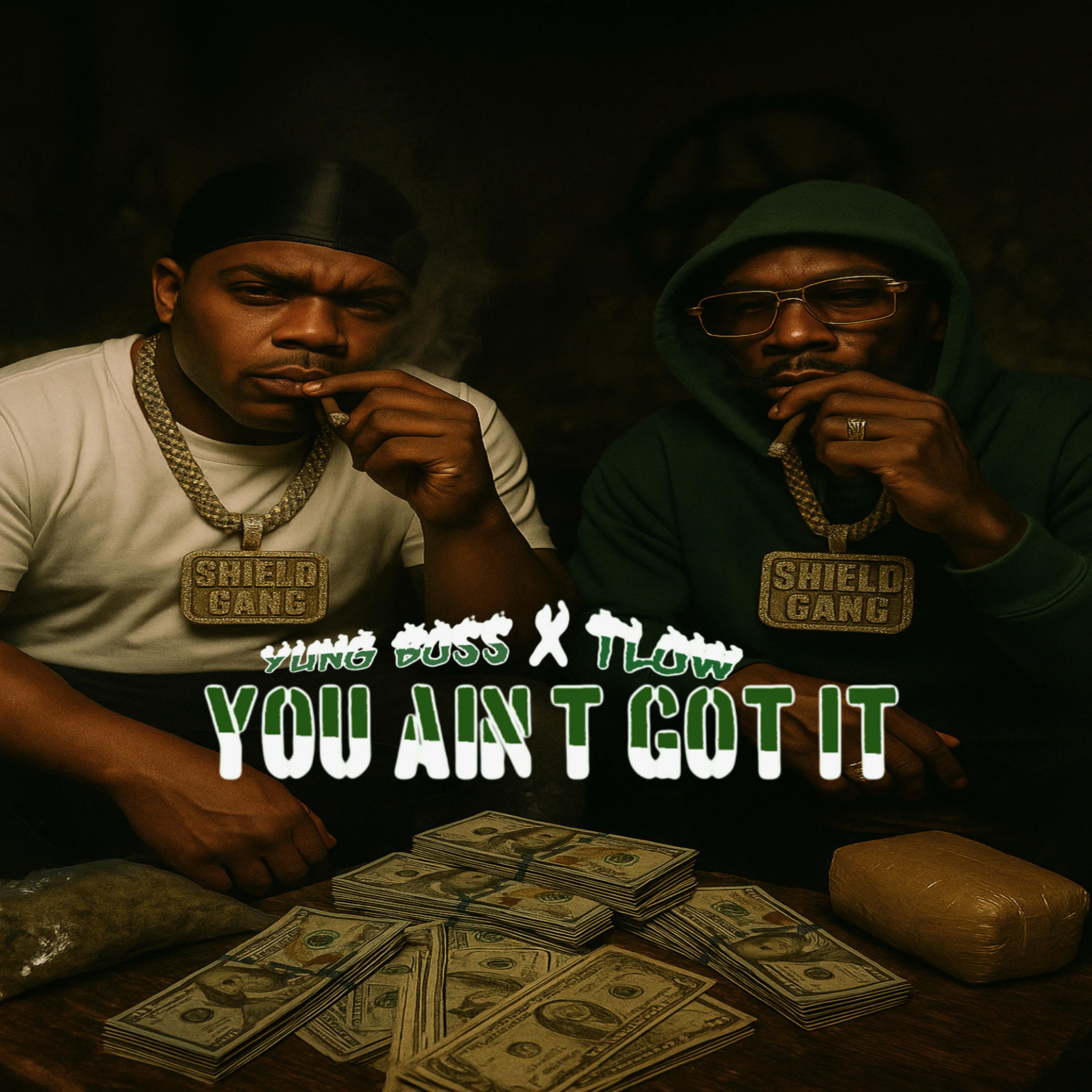 You Aint Got It artwork