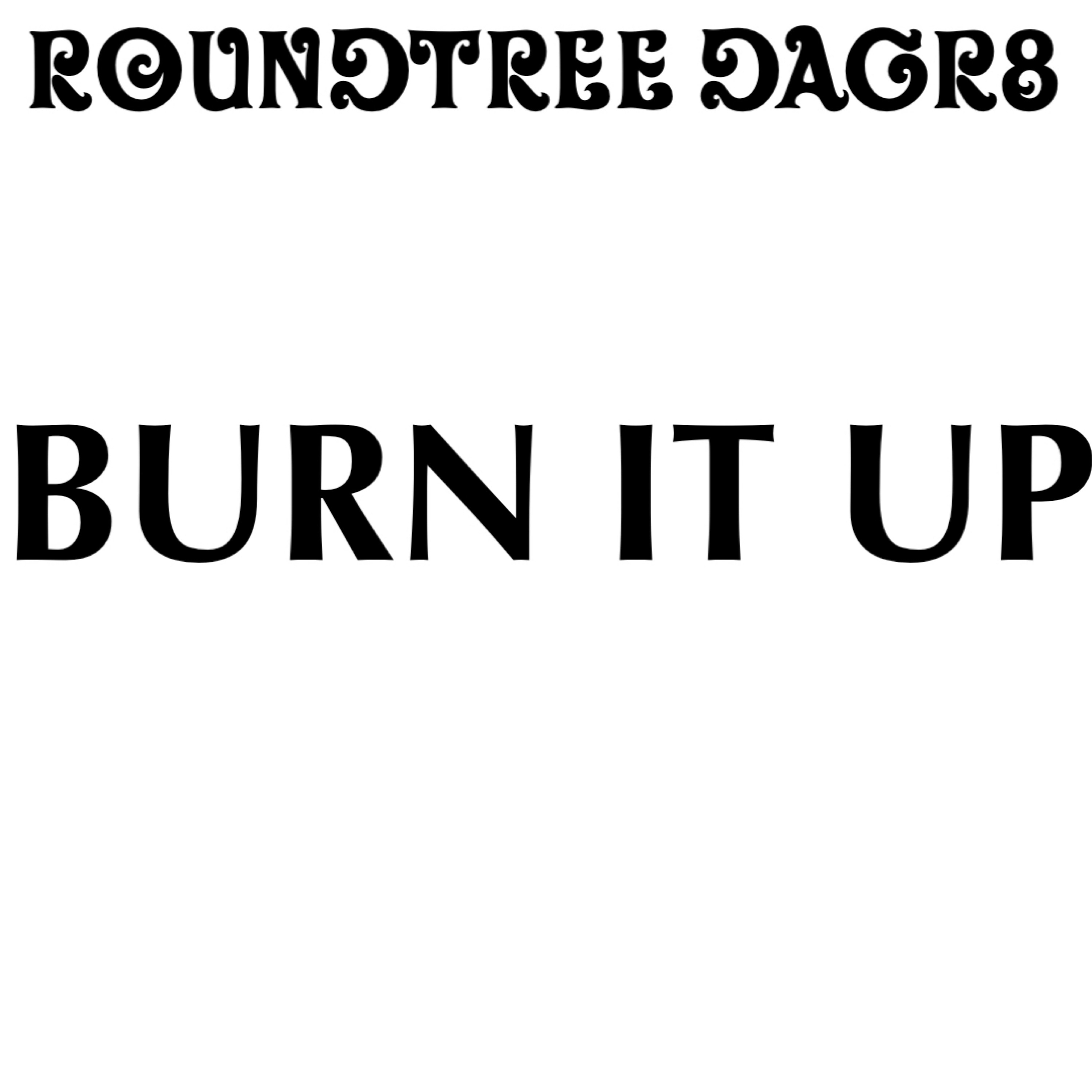 Burn It Up by Roundtree DaGr8 cover art