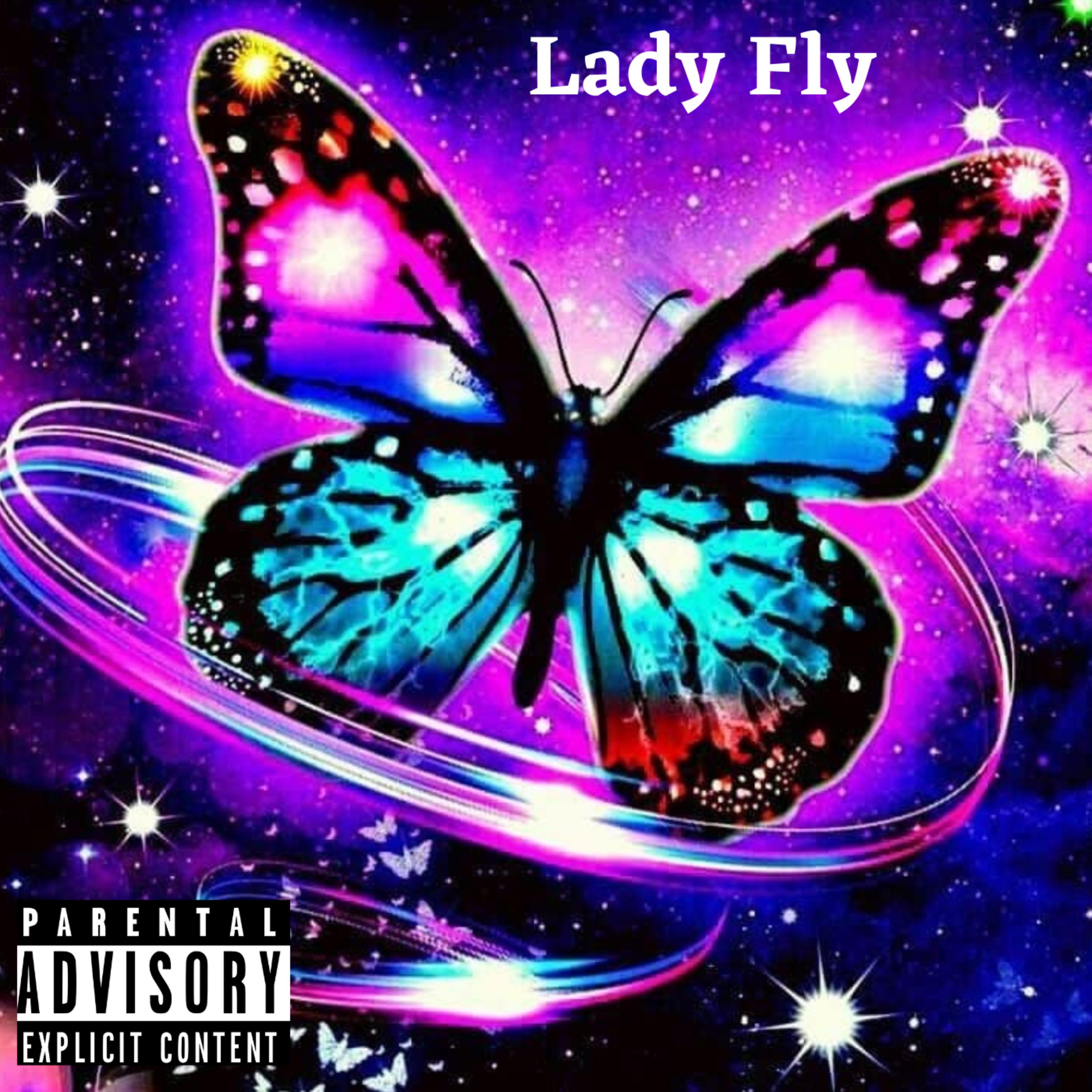 Lady Fly artwork