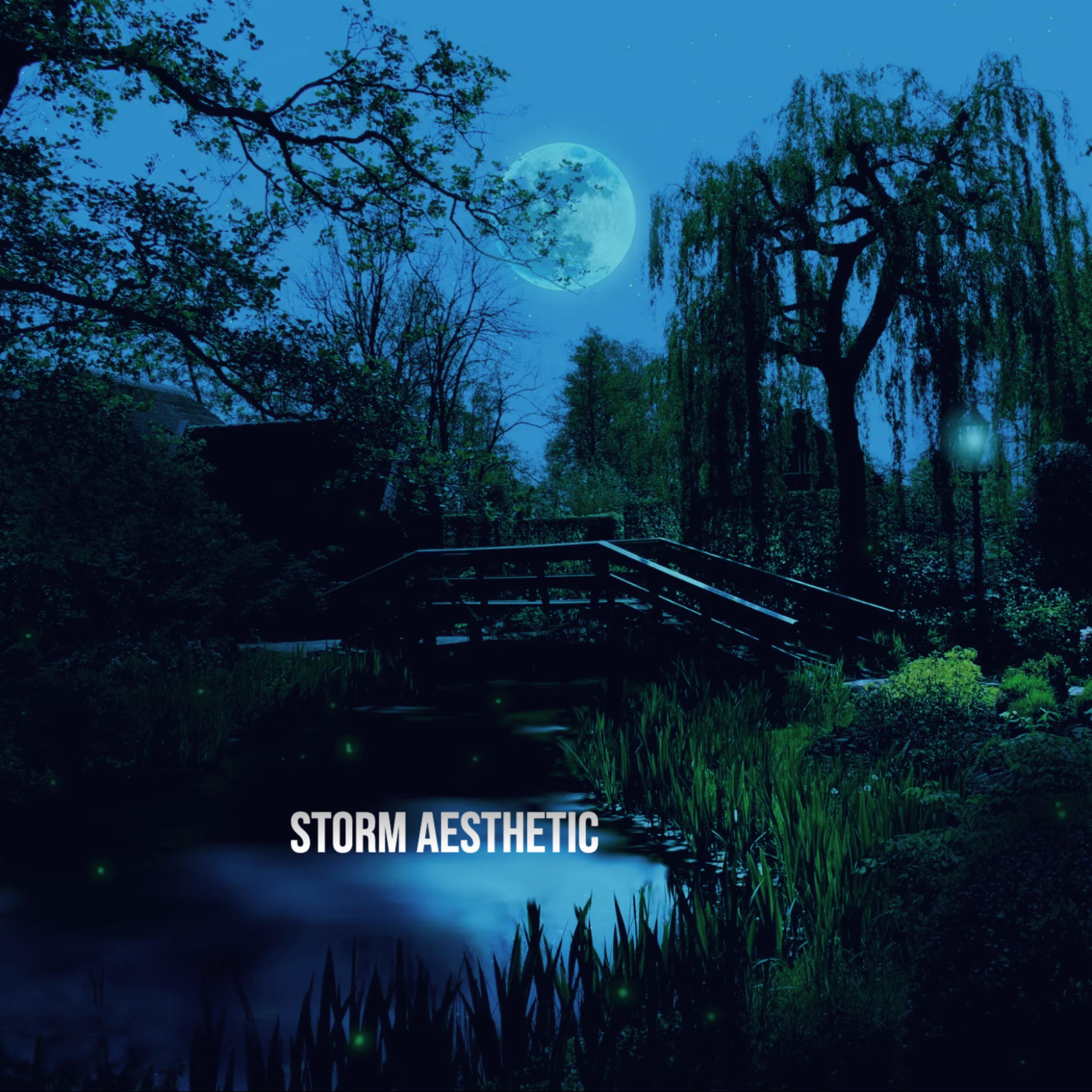 Storm Aesthetic artwork