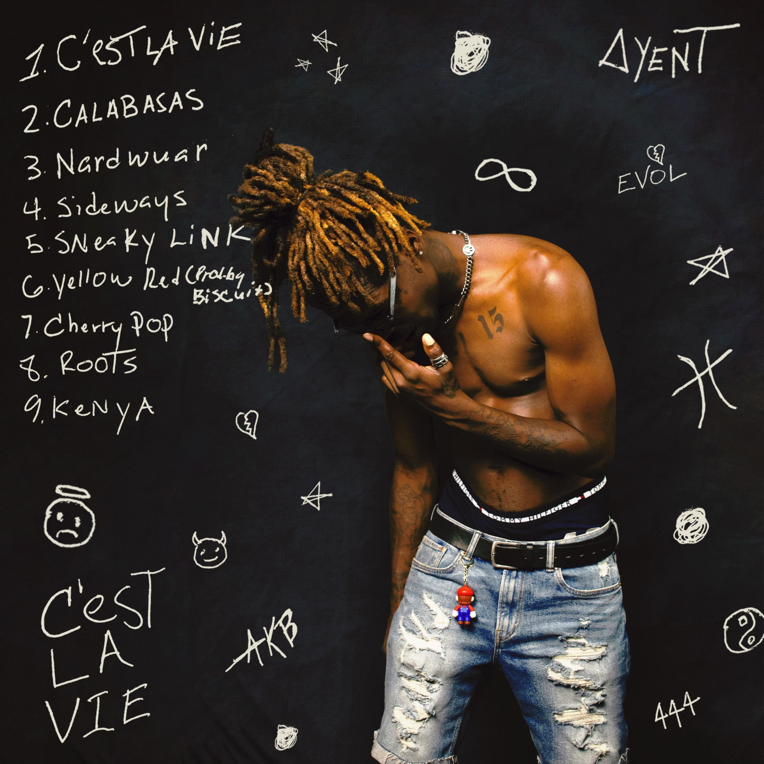 Cèst LA Vie artwork