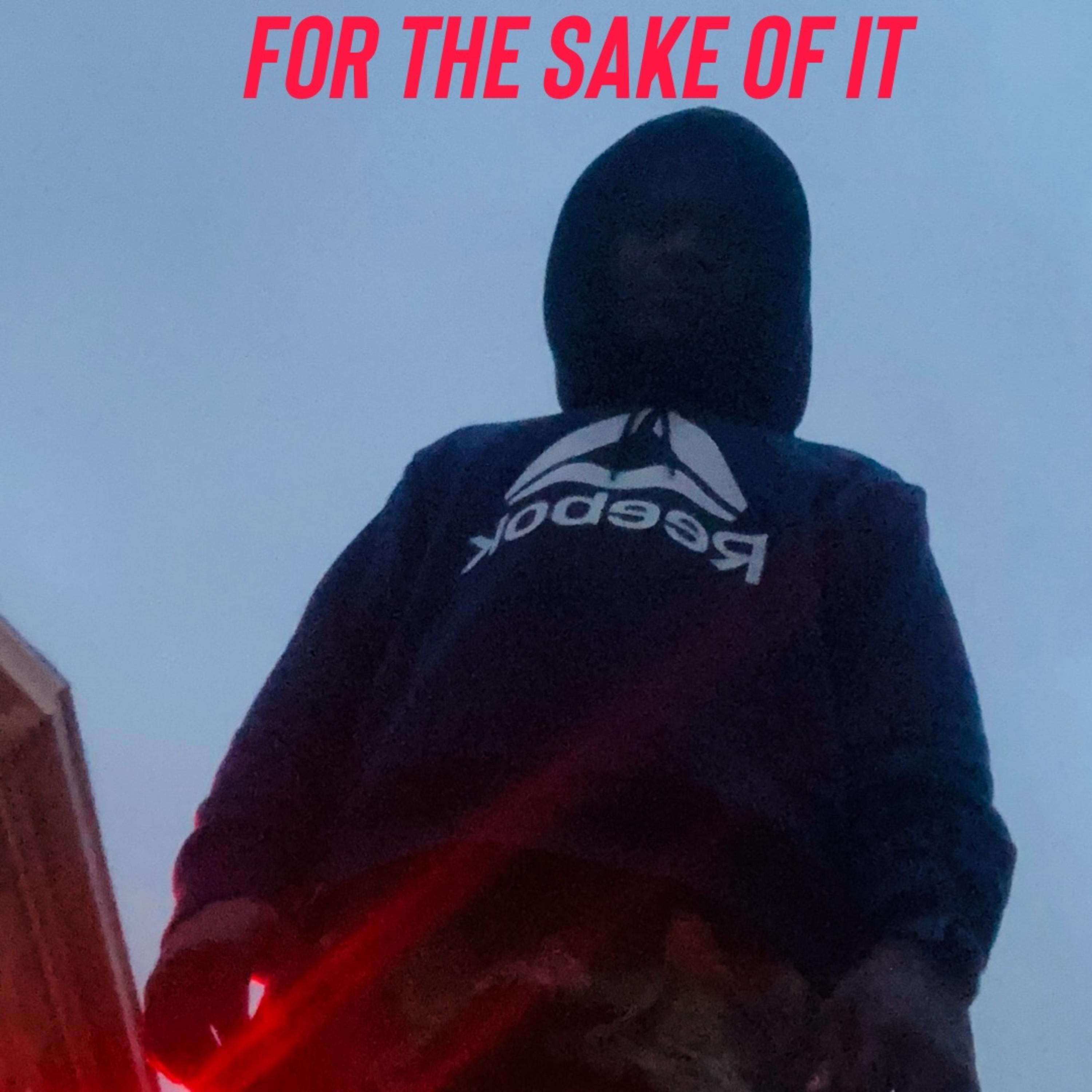 For The Sake Of It artwork