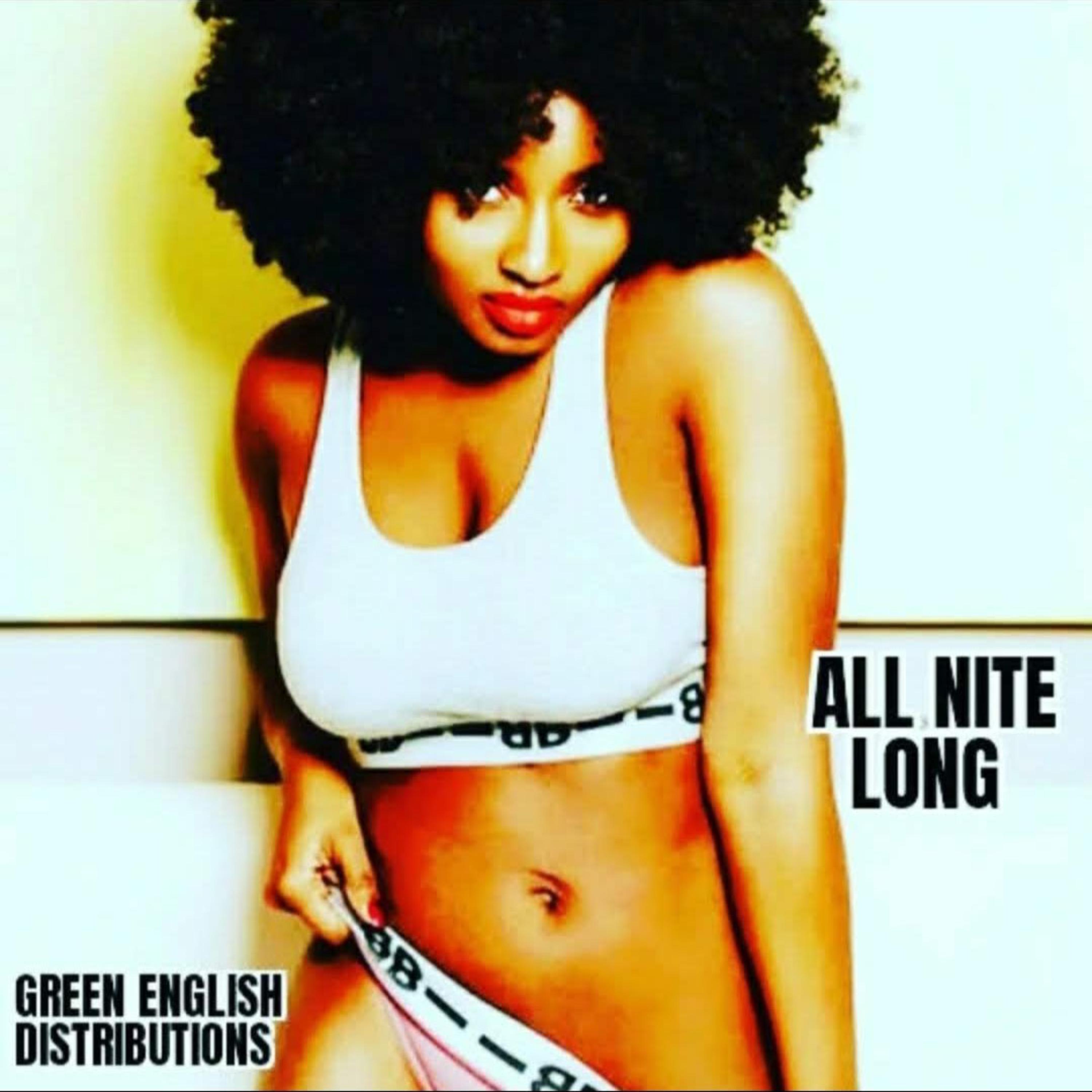 ALL NITE LONG artwork