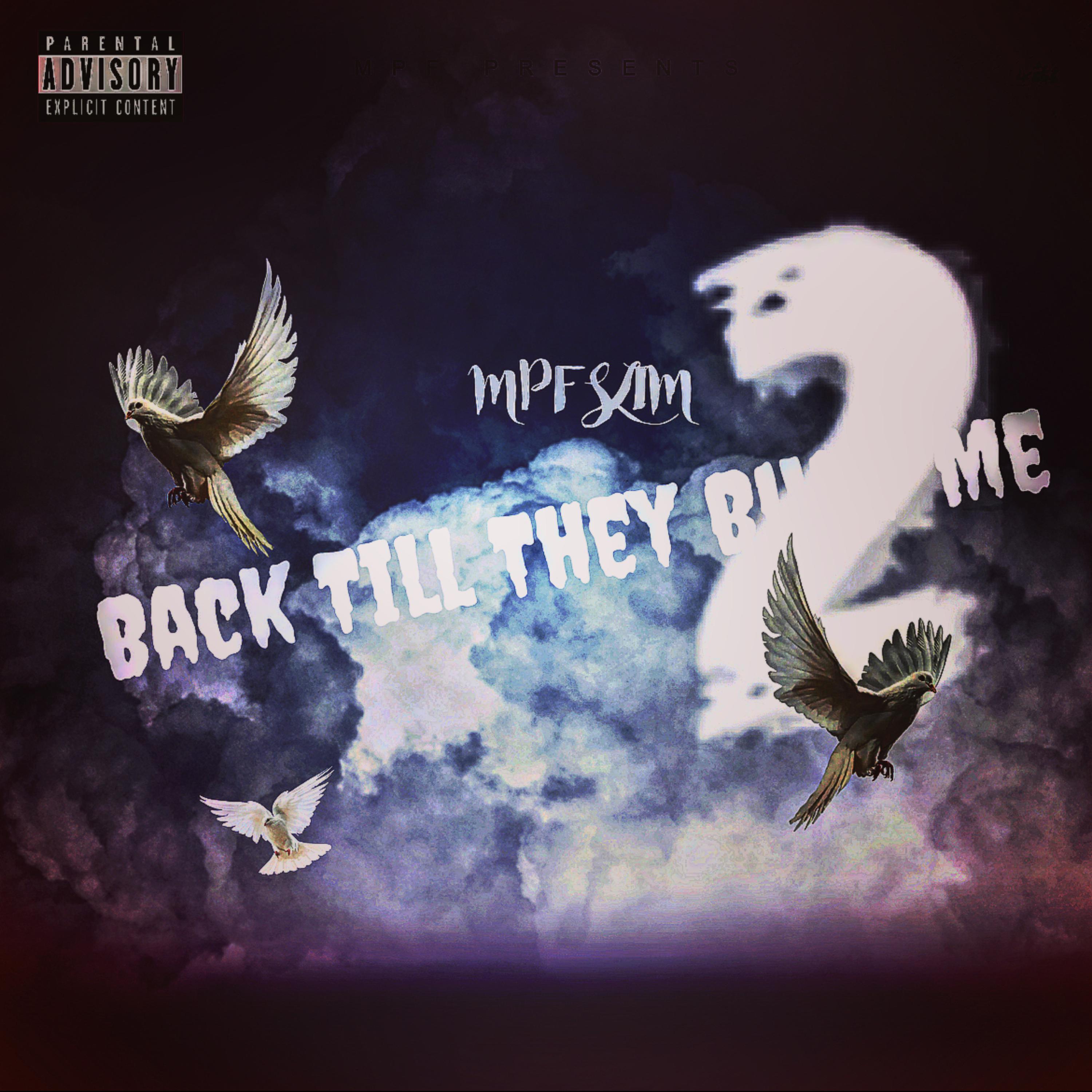 Back Till They Bury Me 2 artwork