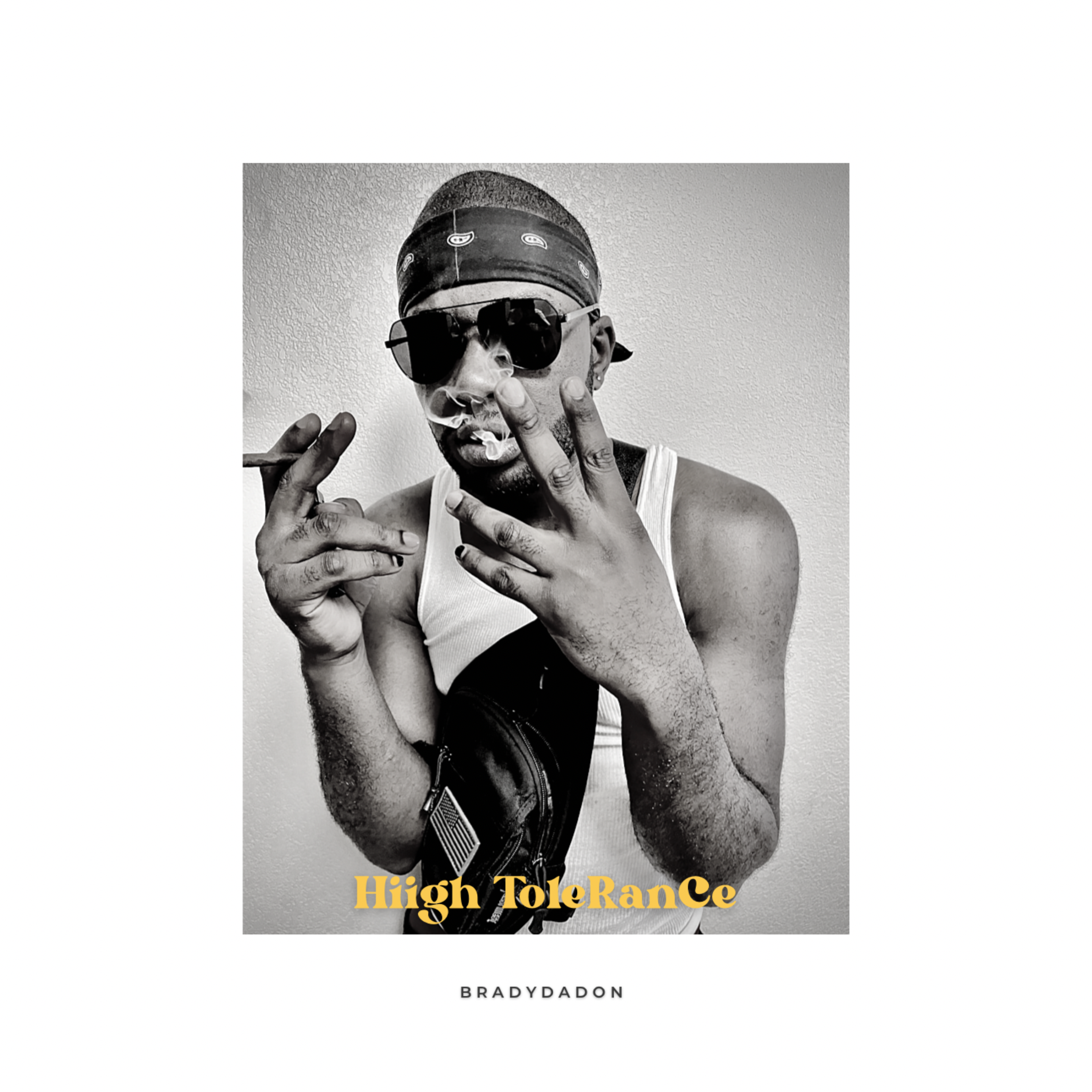 Hiigh ToleRanCe artwork