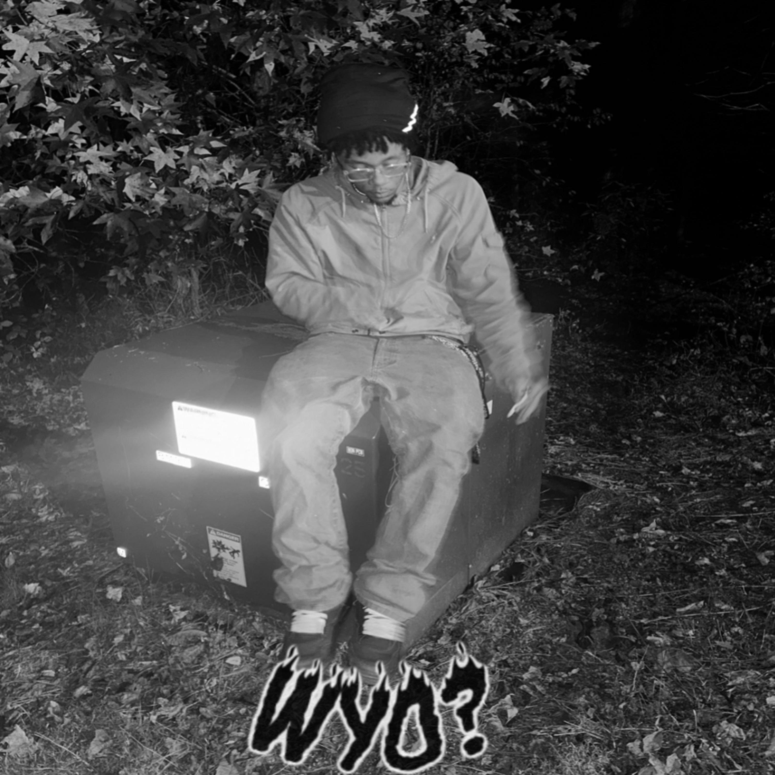 Wyo? by zi cover art