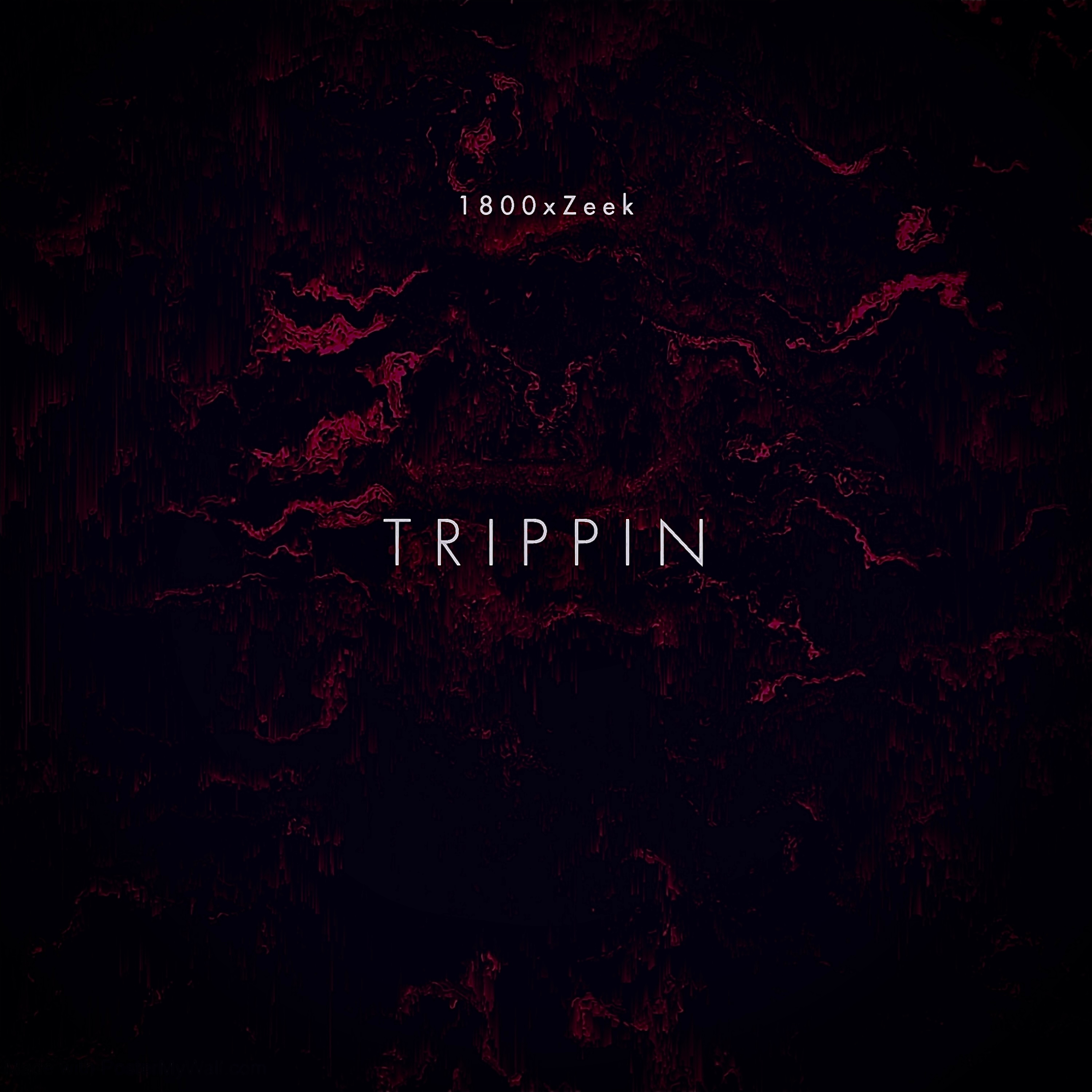 TRIPPIN artwork